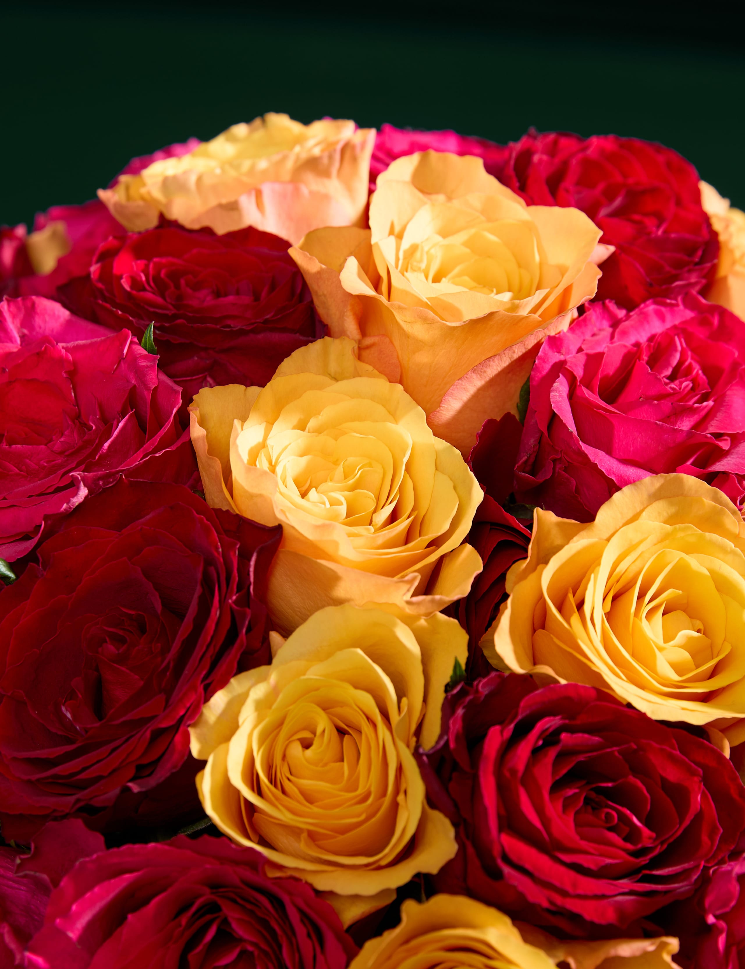 Medium Radiant Rose Abundance Bouquet 5 of 8