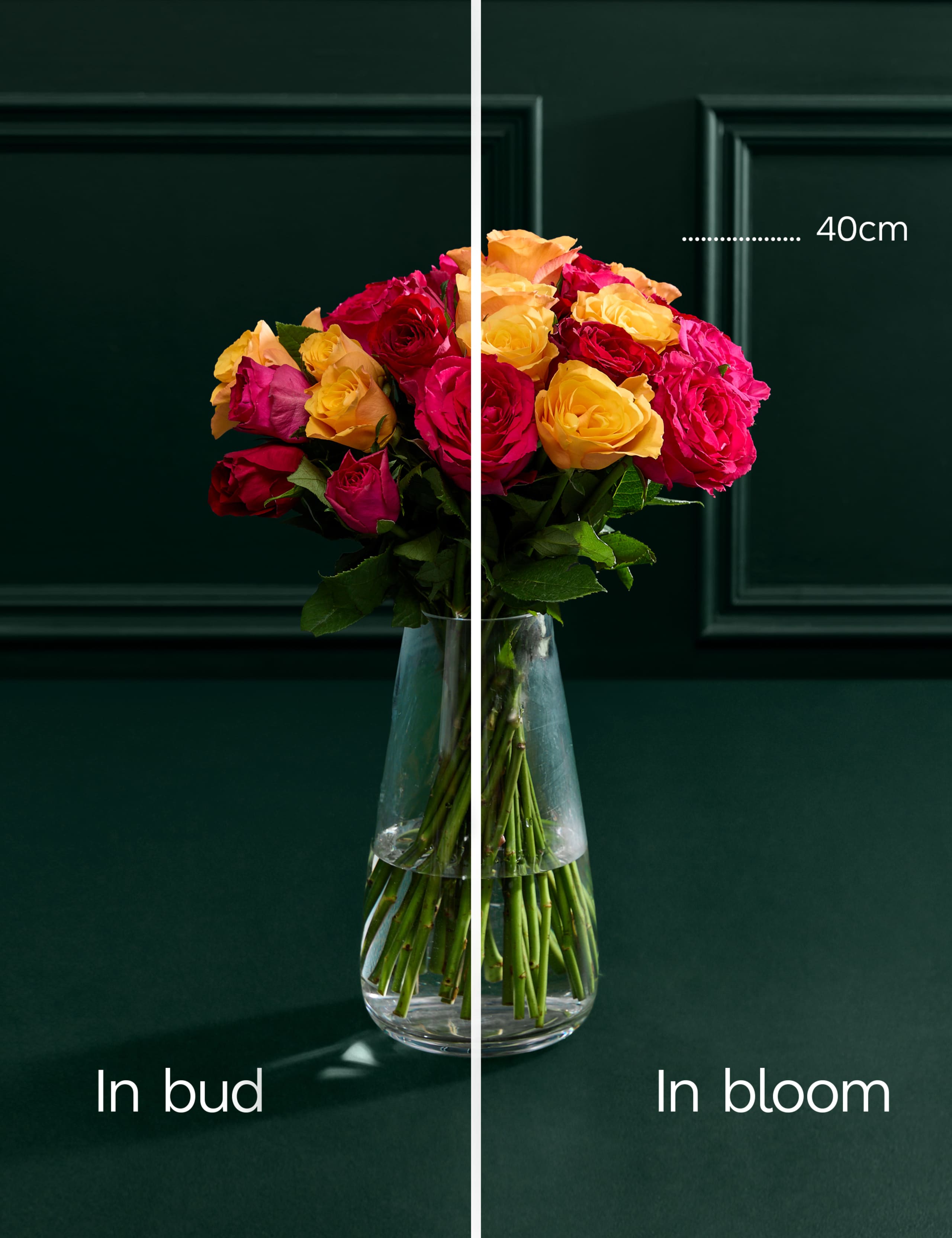 Medium Radiant Rose Abundance Bouquet 6 of 8