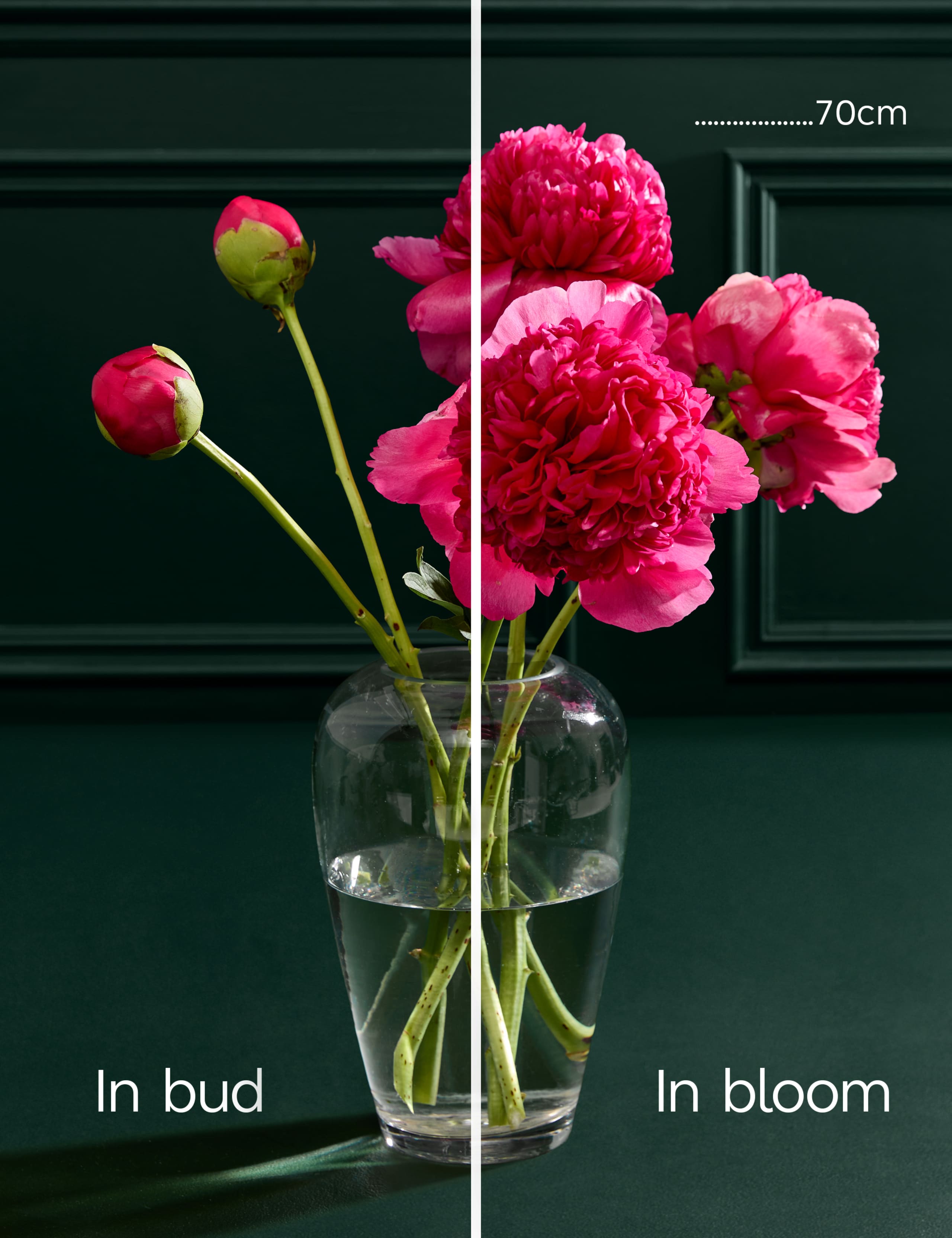 Grand Blush Peony Bouquet 4 of 6