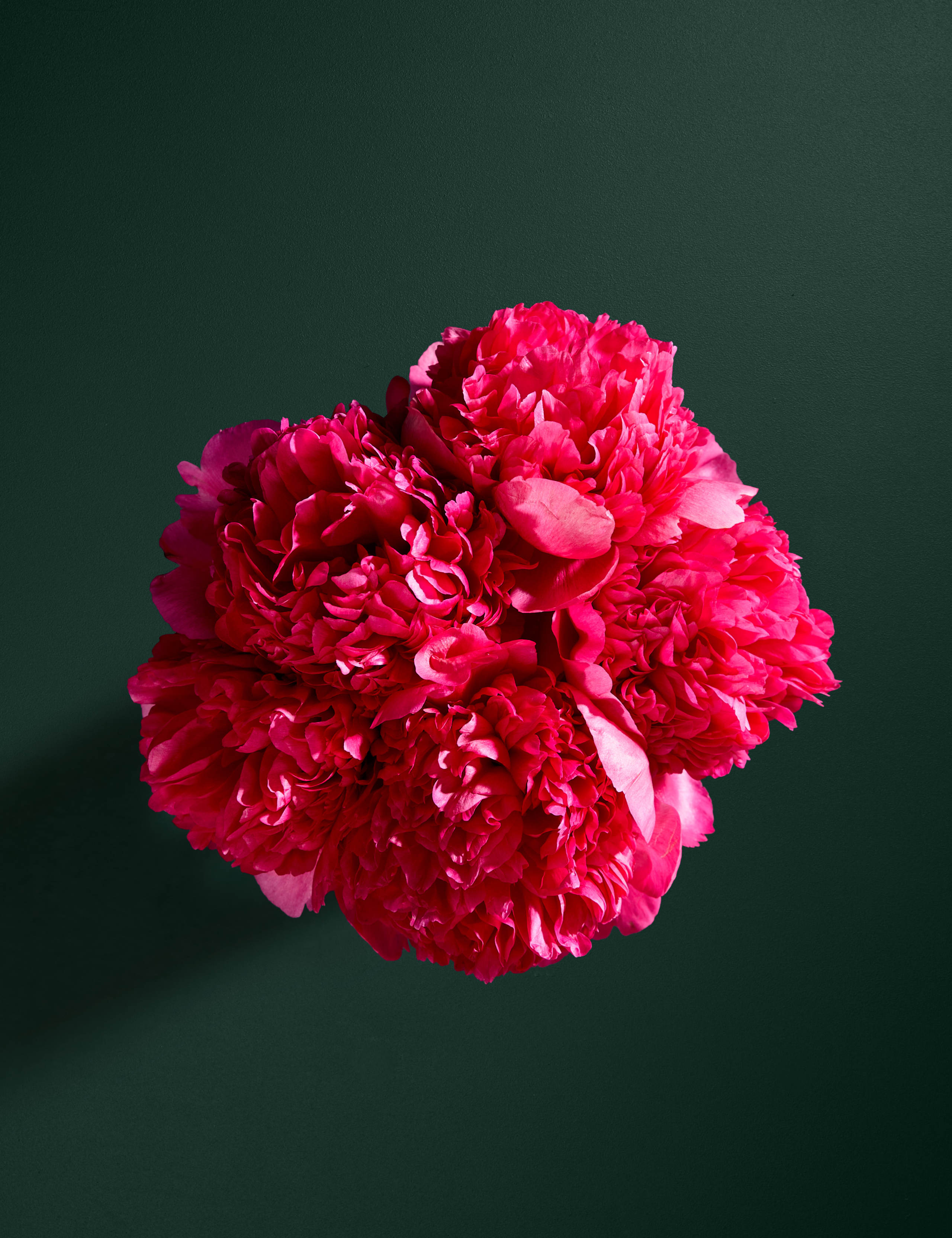 Grand Blush Peony Bouquet 2 of 6
