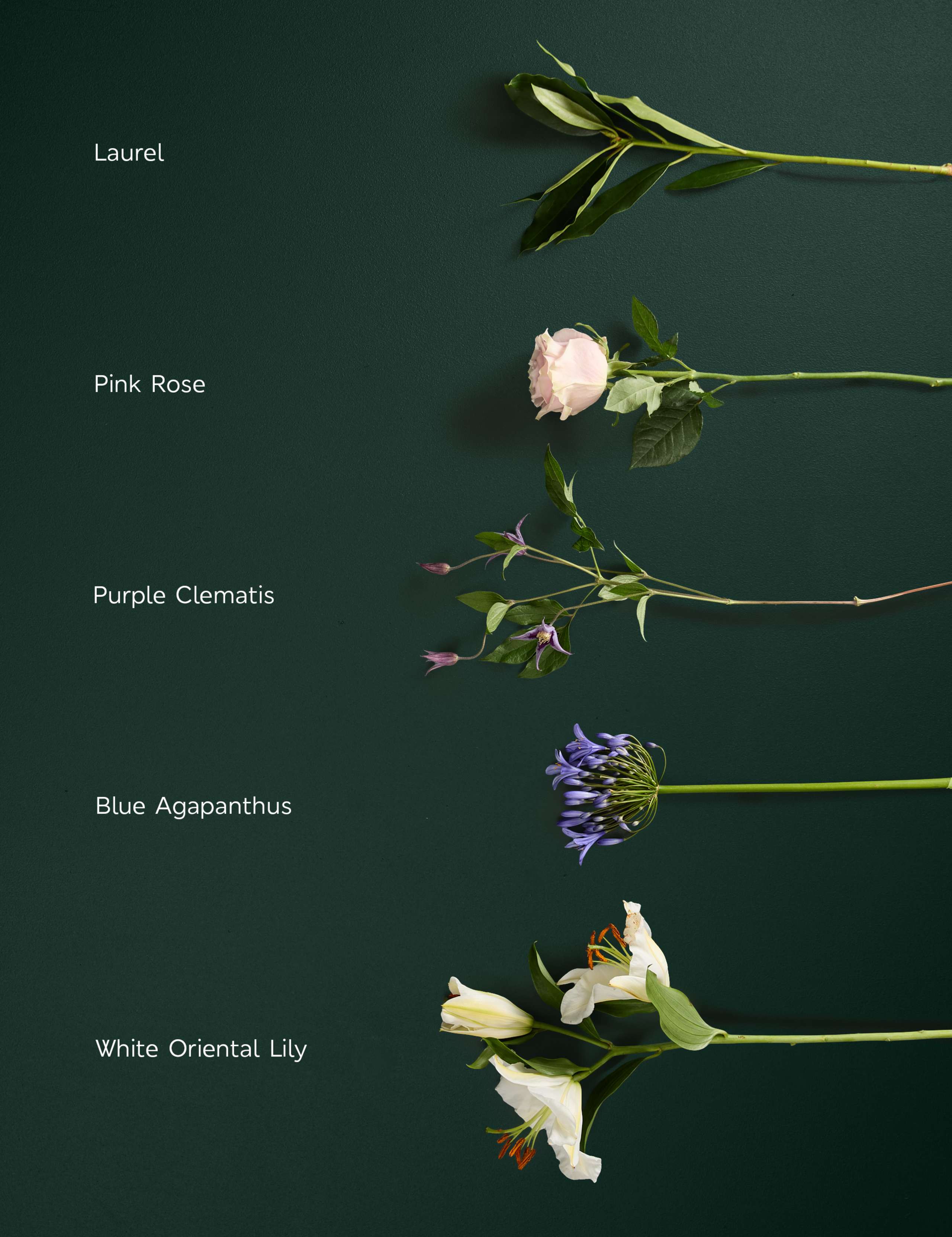 Agapanthus & Rose Bouquet 4 of 7