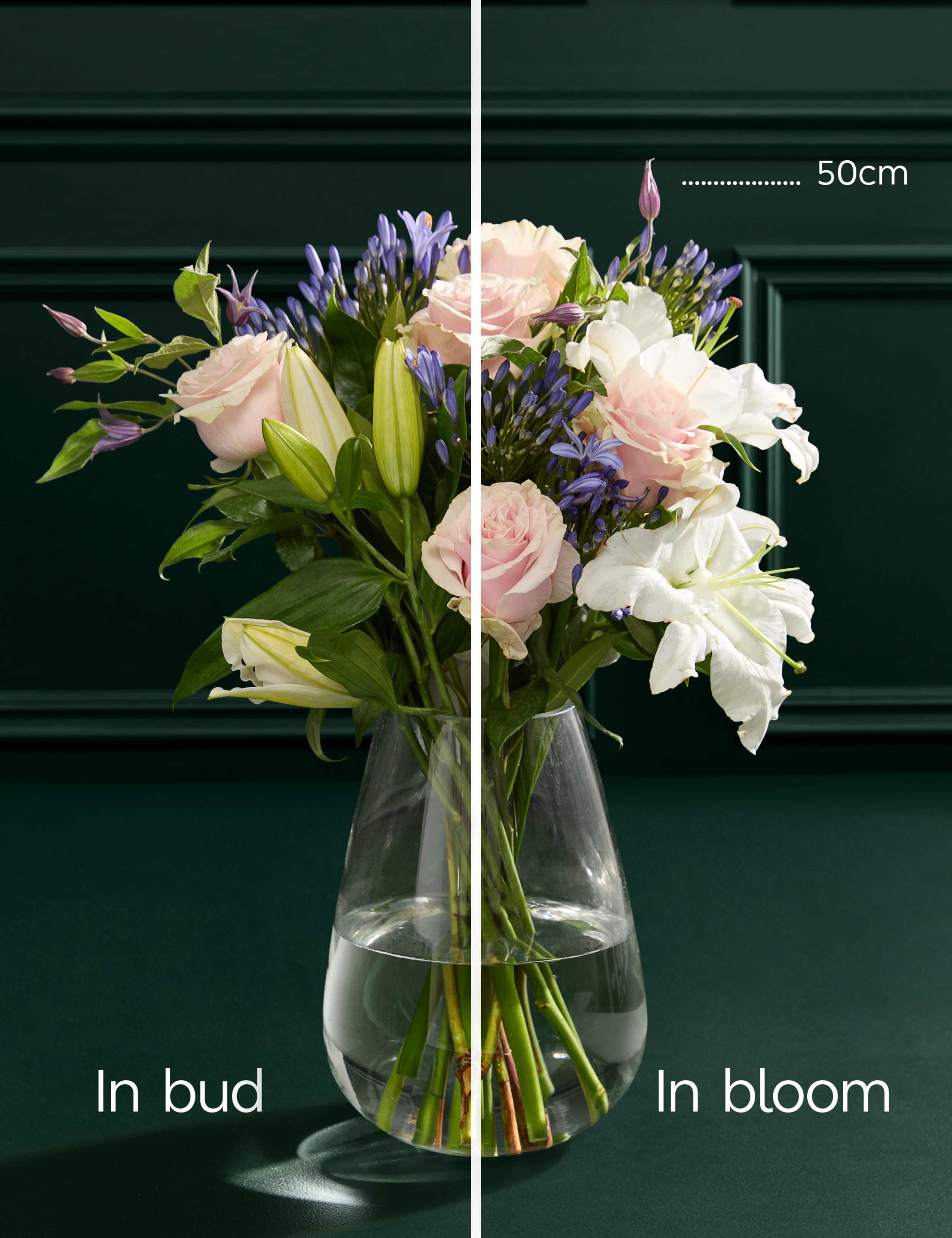 Agapanthus & Rose Bouquet 5 of 7