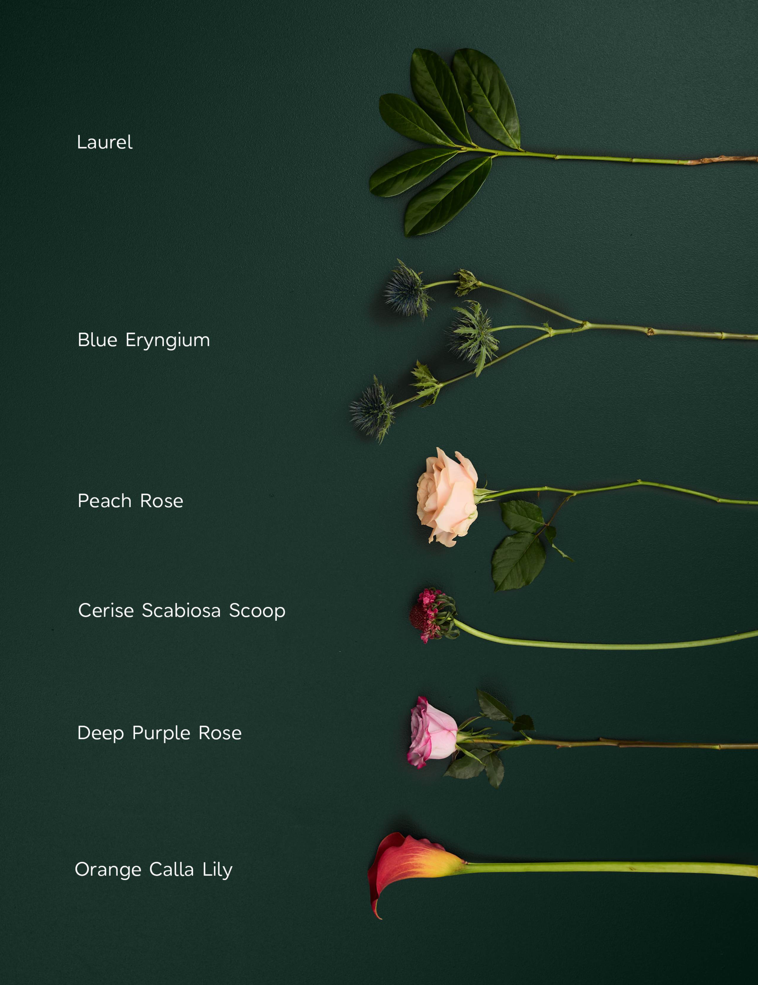 Calla Lilly & Rose Bouquet 4 of 7