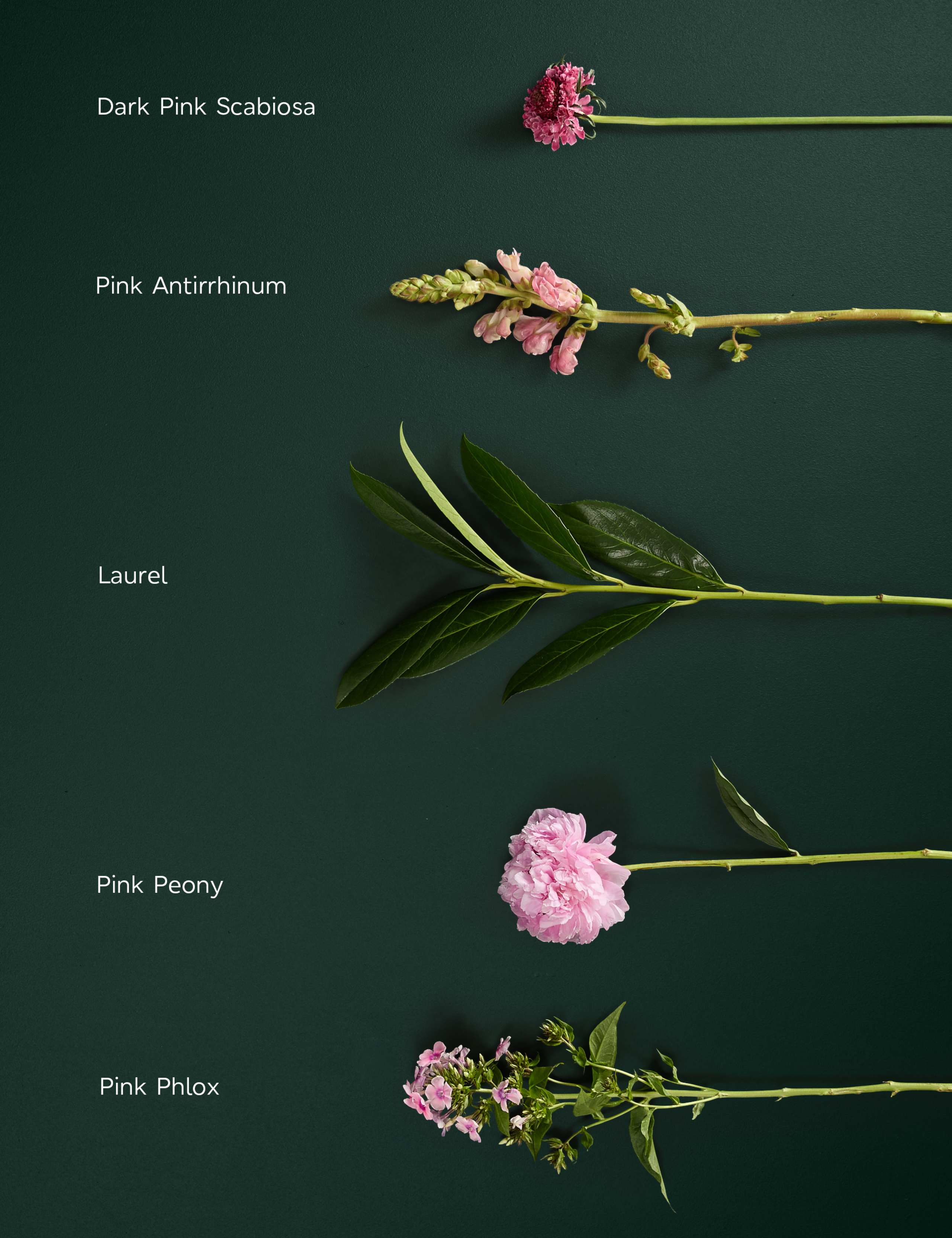 Summer Blush Peony Bouquet 4 of 7