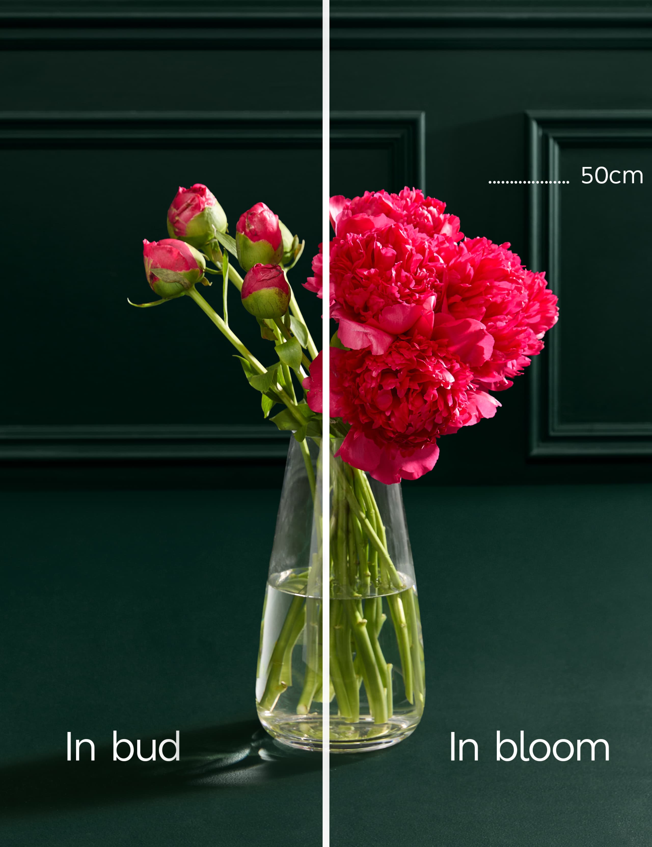 Red Peony Abundance Bouquet 4 of 4