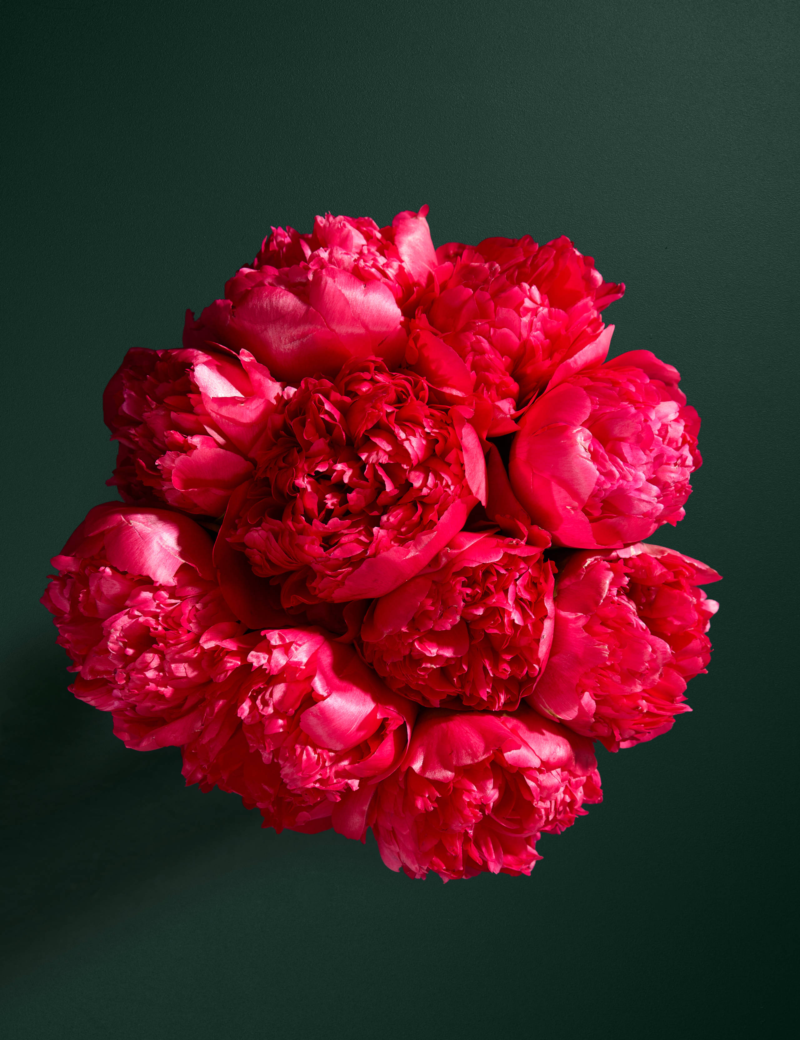 Red Peony Abundance Bouquet 2 of 4