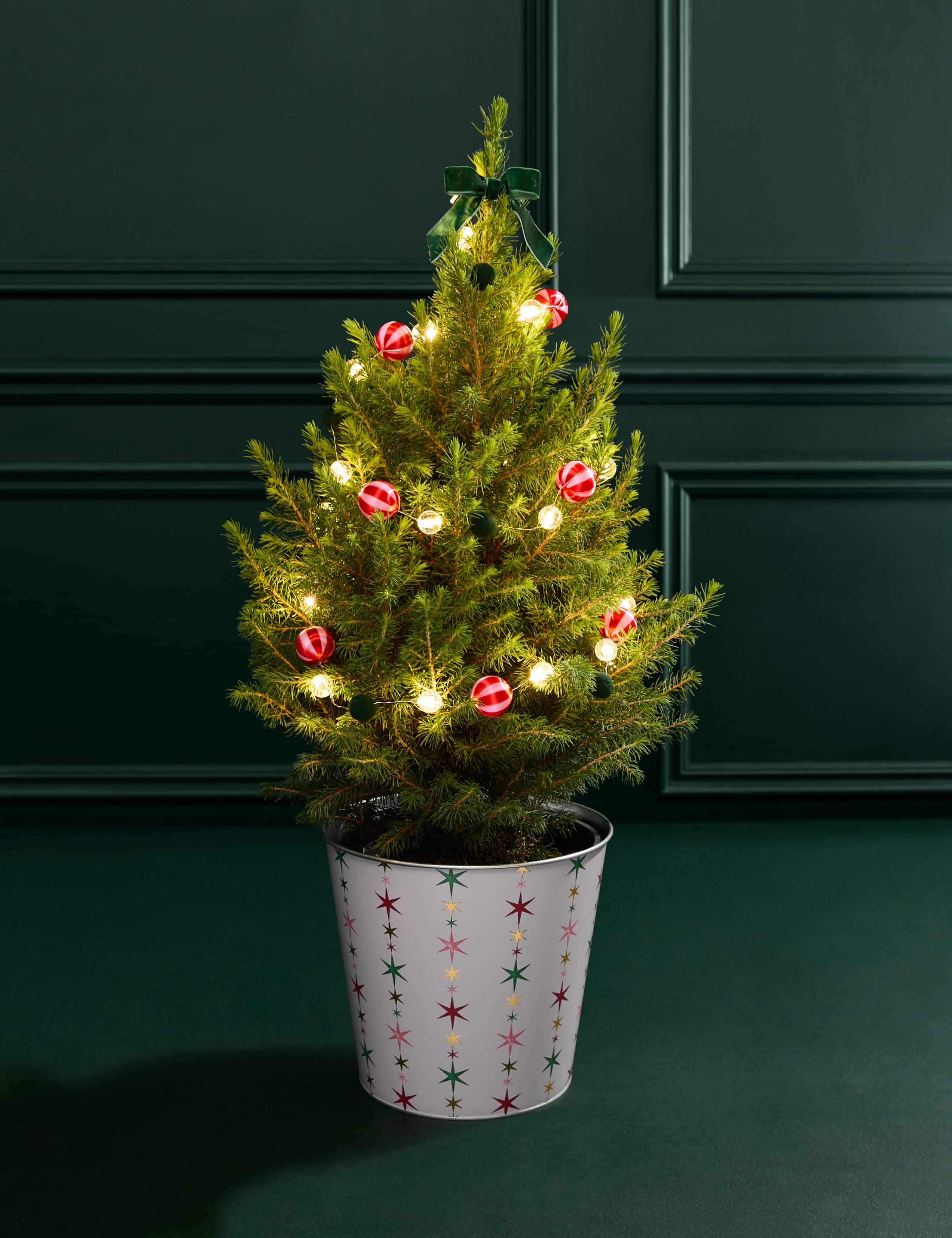 Luxury Christmas Tree with Festive Star Pot 1 of 2