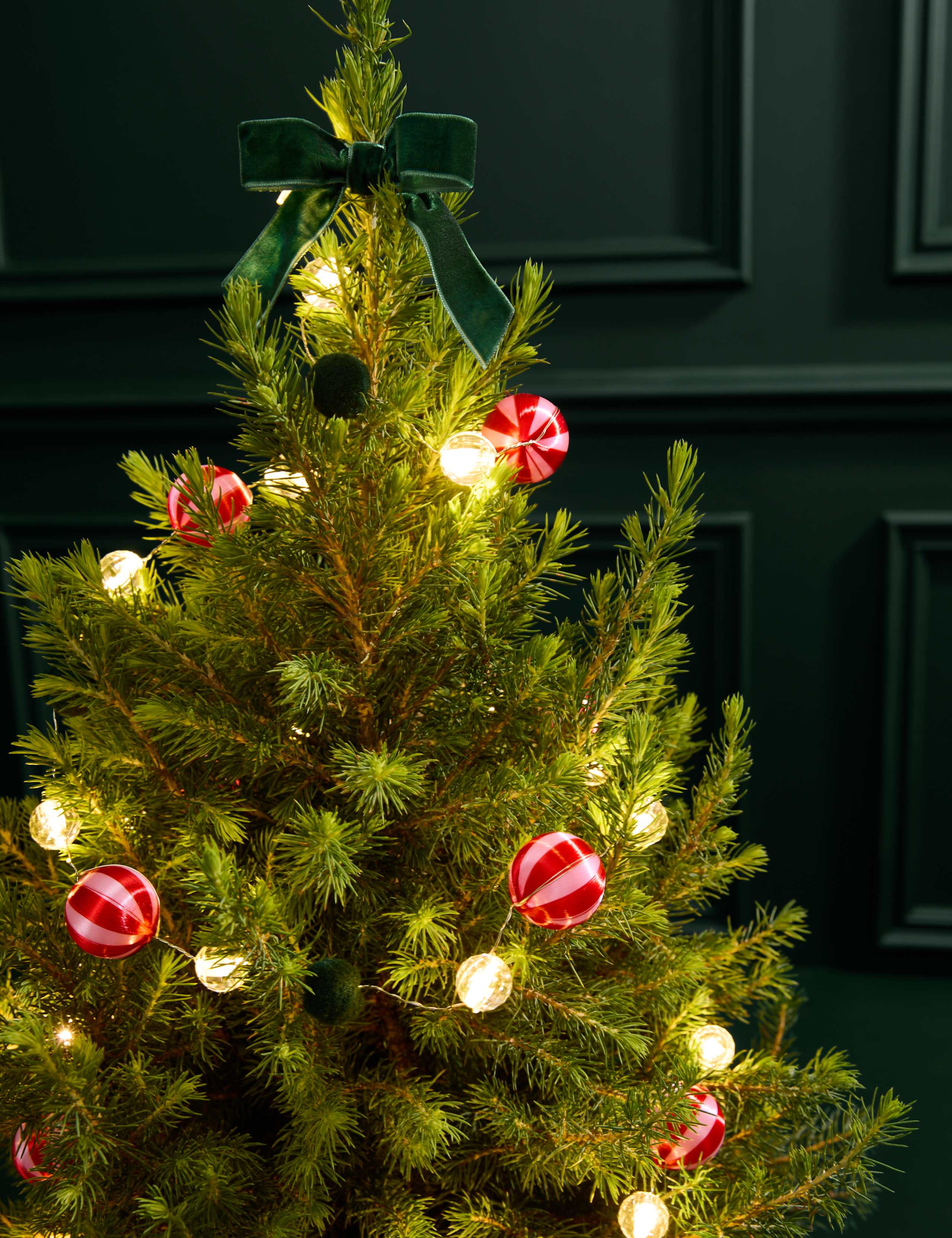 Real Mini Christmas Tree with Festive Star Pot 3 of 3
