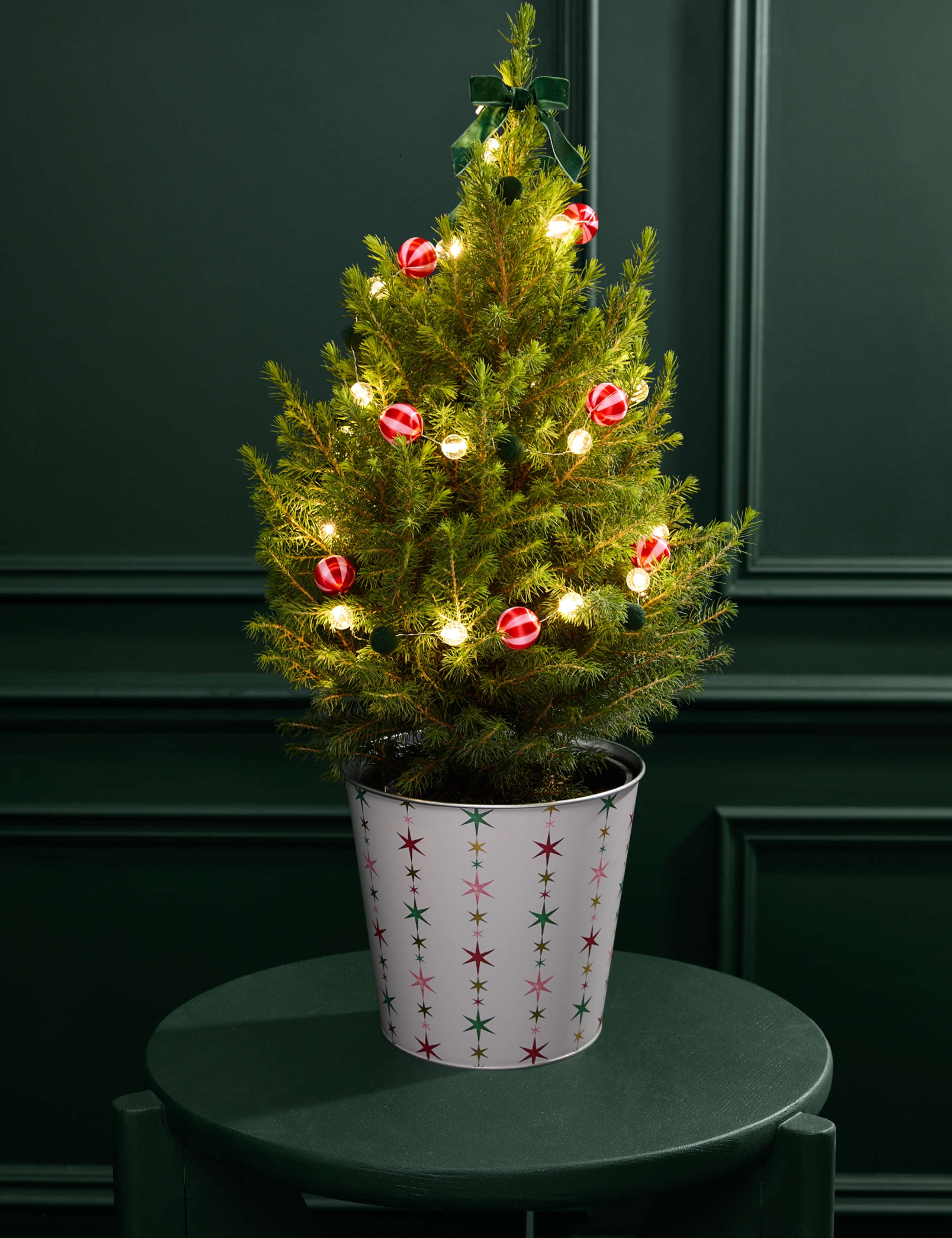 Luxury Christmas Tree with Festive Star Pot 2 of 2