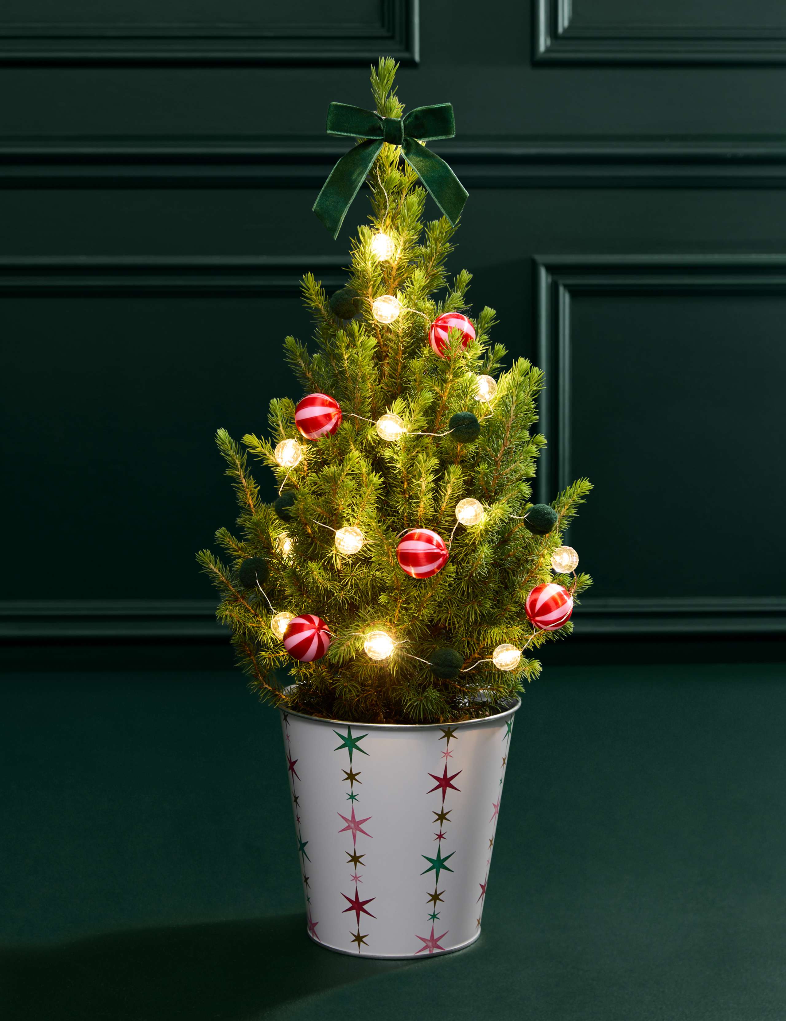 Mini Christmas Tree in Festive Star Pot & Merry Munch 4 of 4