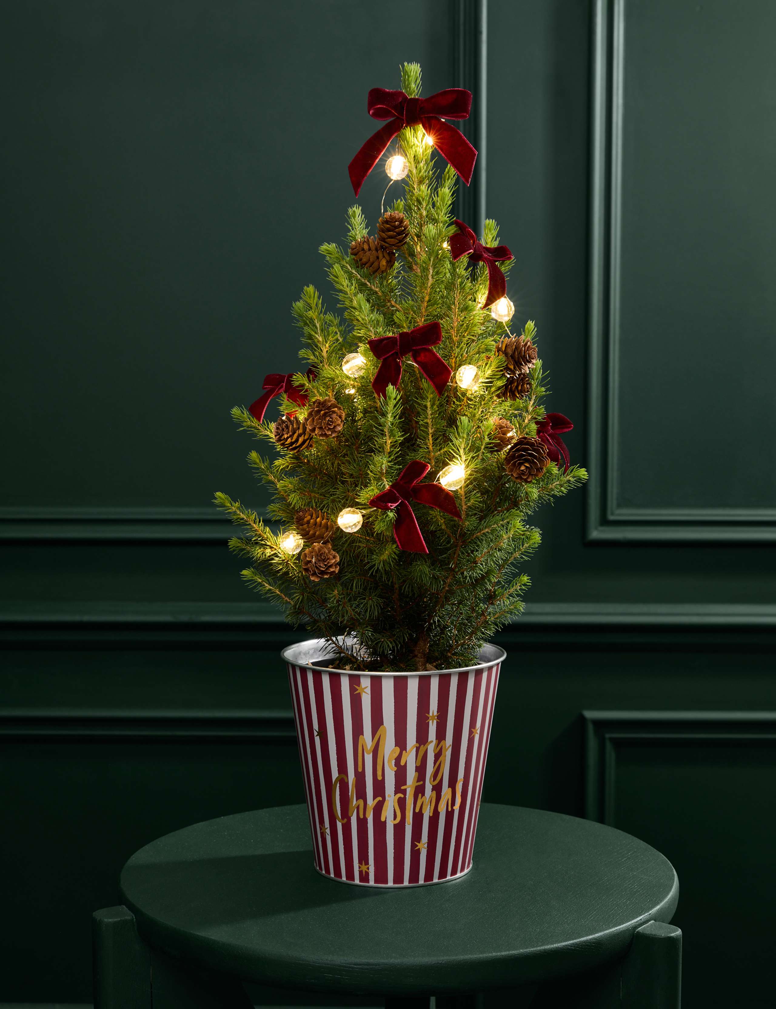Mini Christmas Tree in Red Striped 'Merry Christmas' Pot with Candle 3 of 5