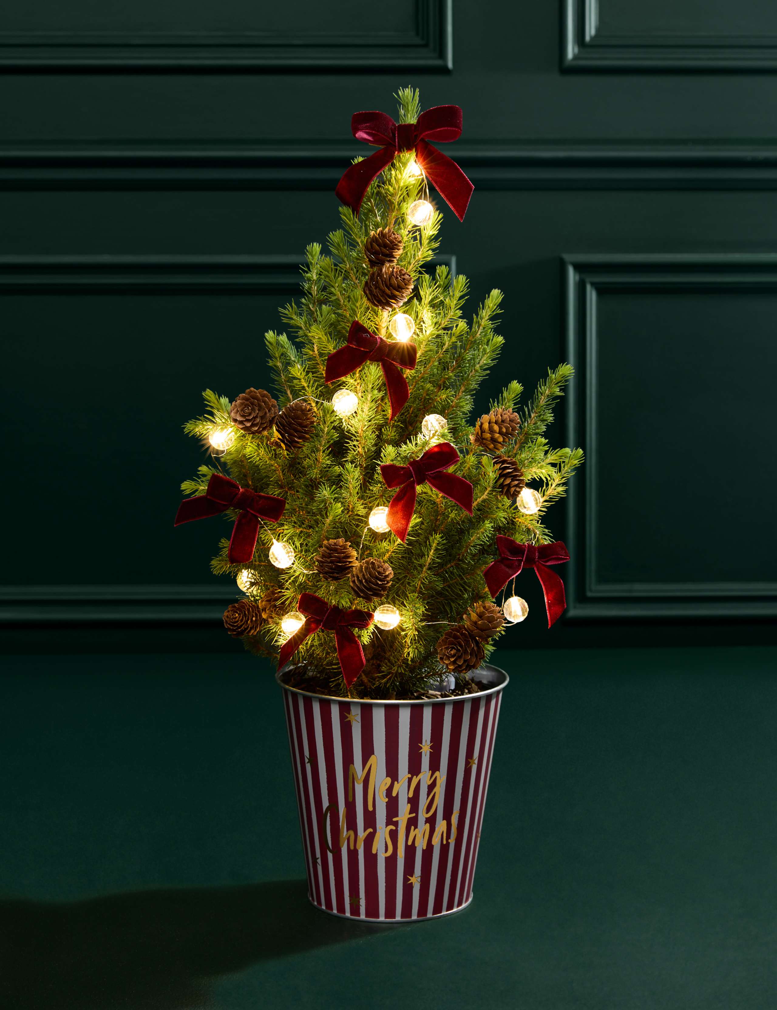 Mini Christmas Tree in Red Striped 'Merry Christmas' Pot with Candle 4 of 5