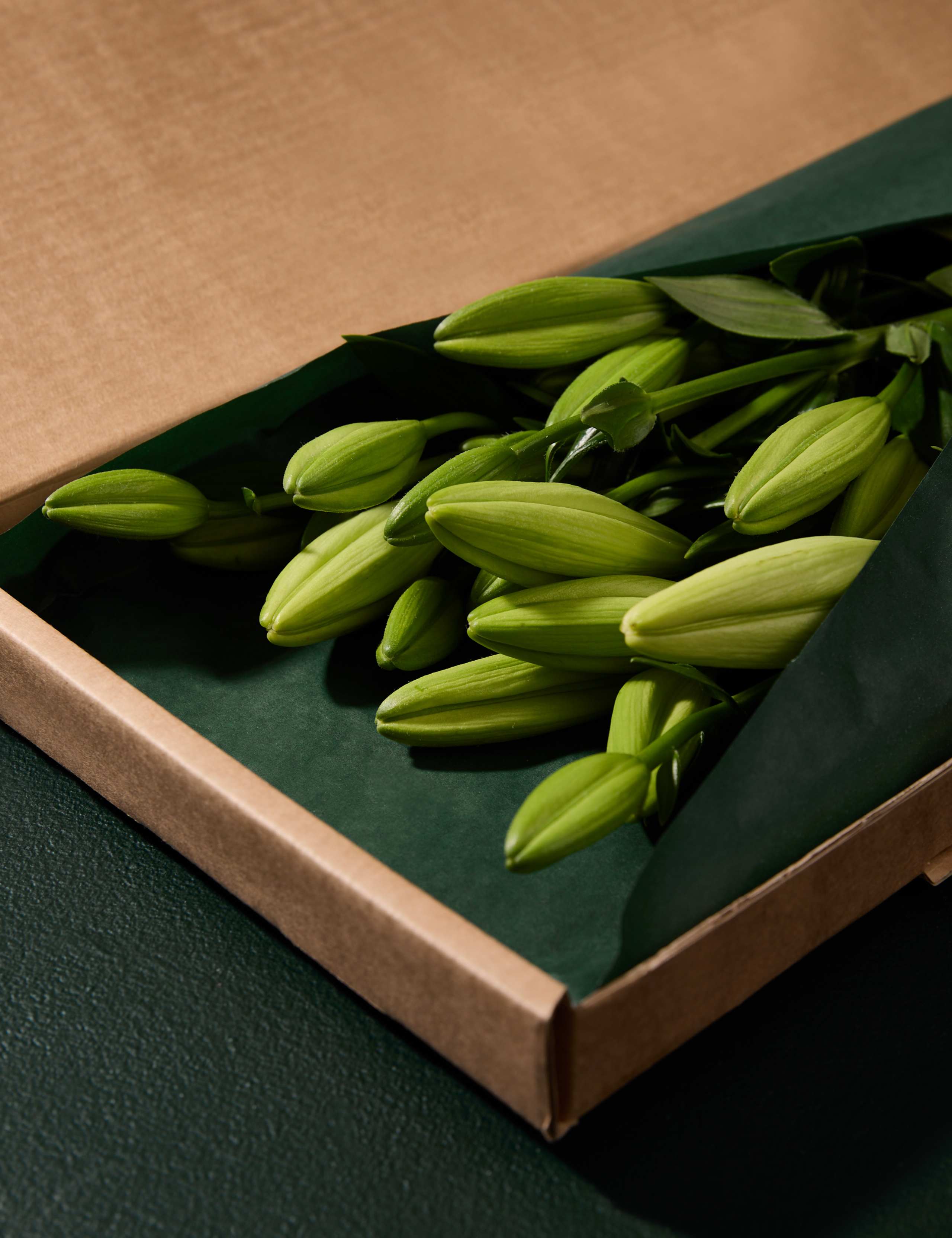 White Lily Letterbox Flowers 4 of 8