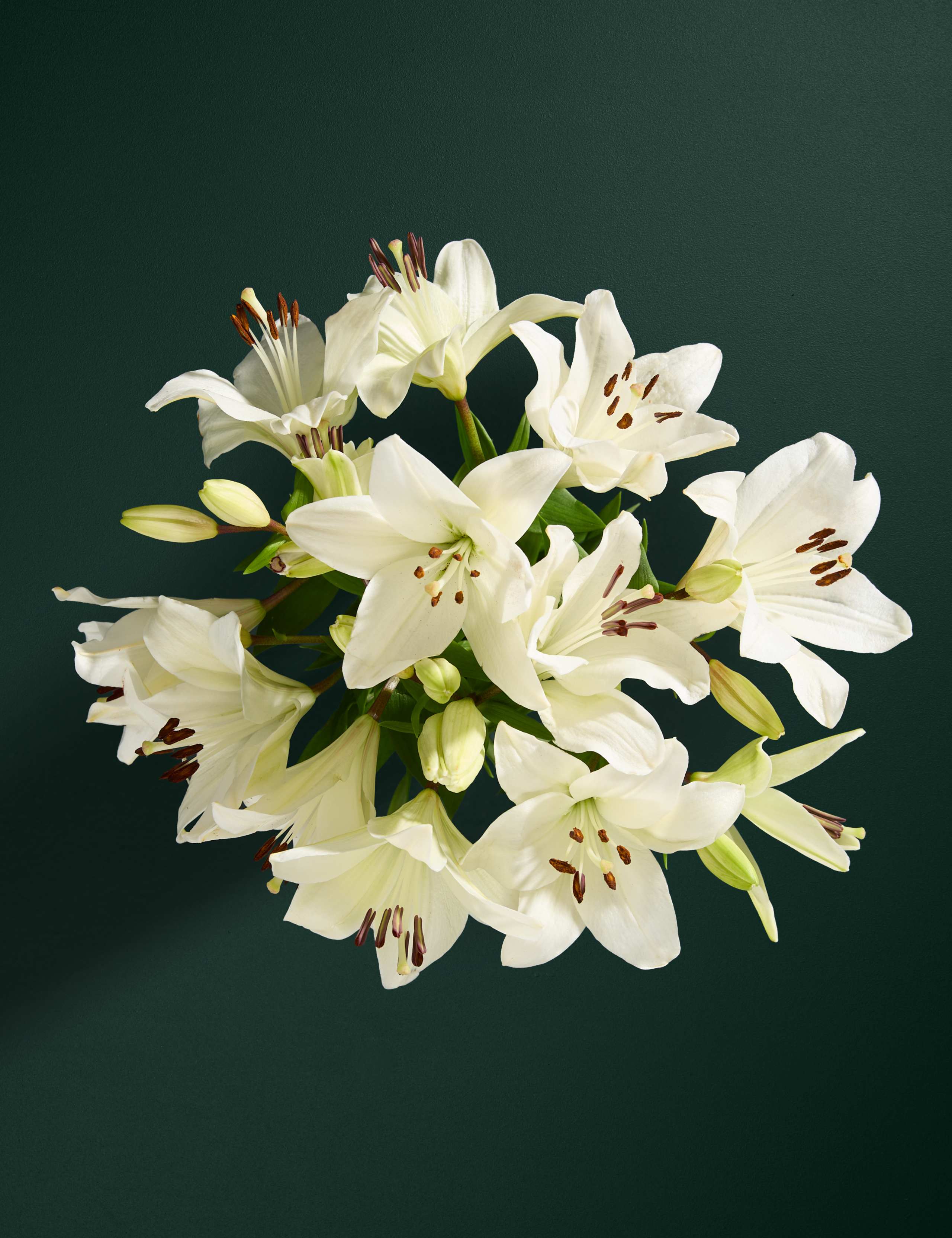 White Lily Letterbox Flowers 2 of 6