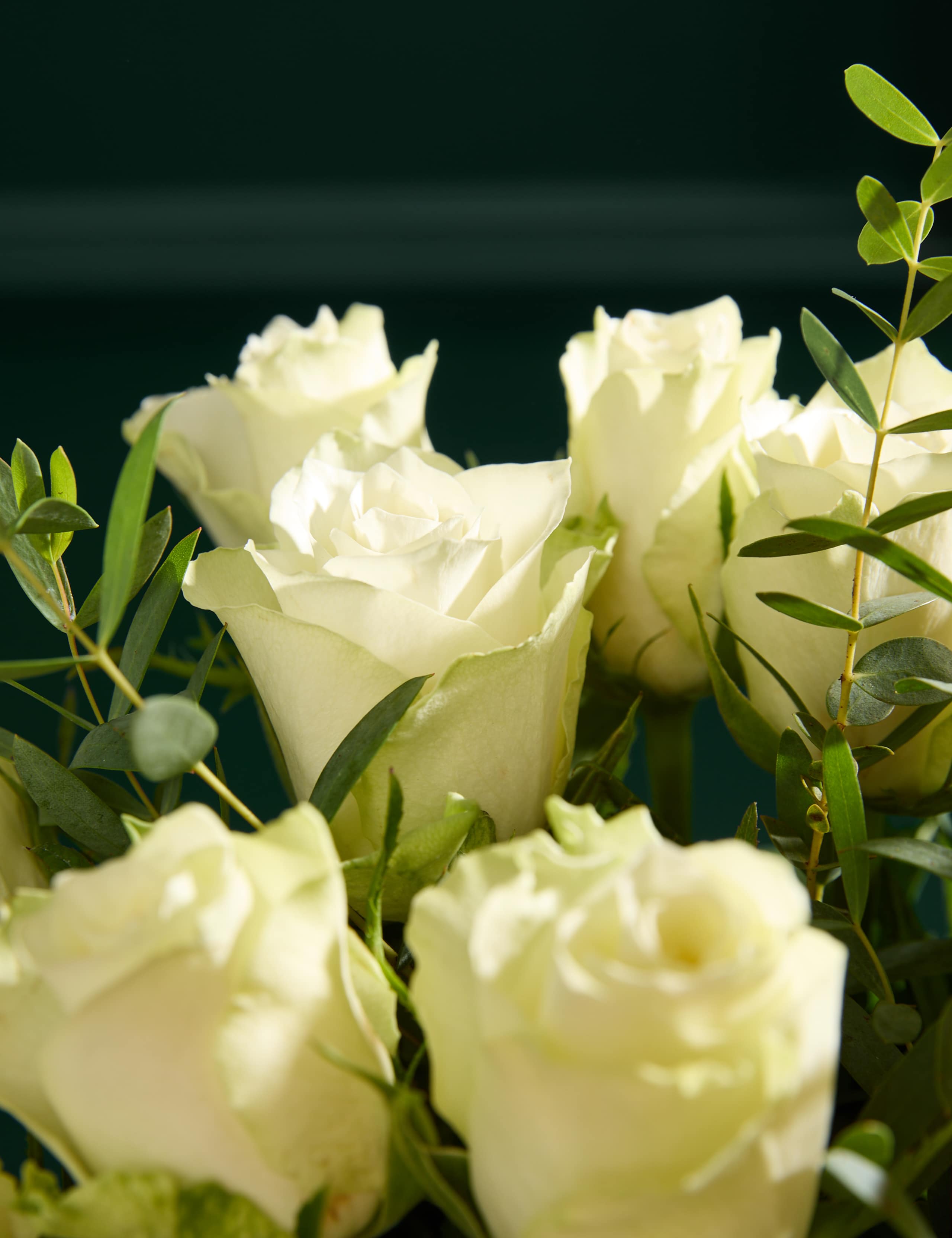 White Rose & Eucalyptus Letterbox Flowers 3 of 6