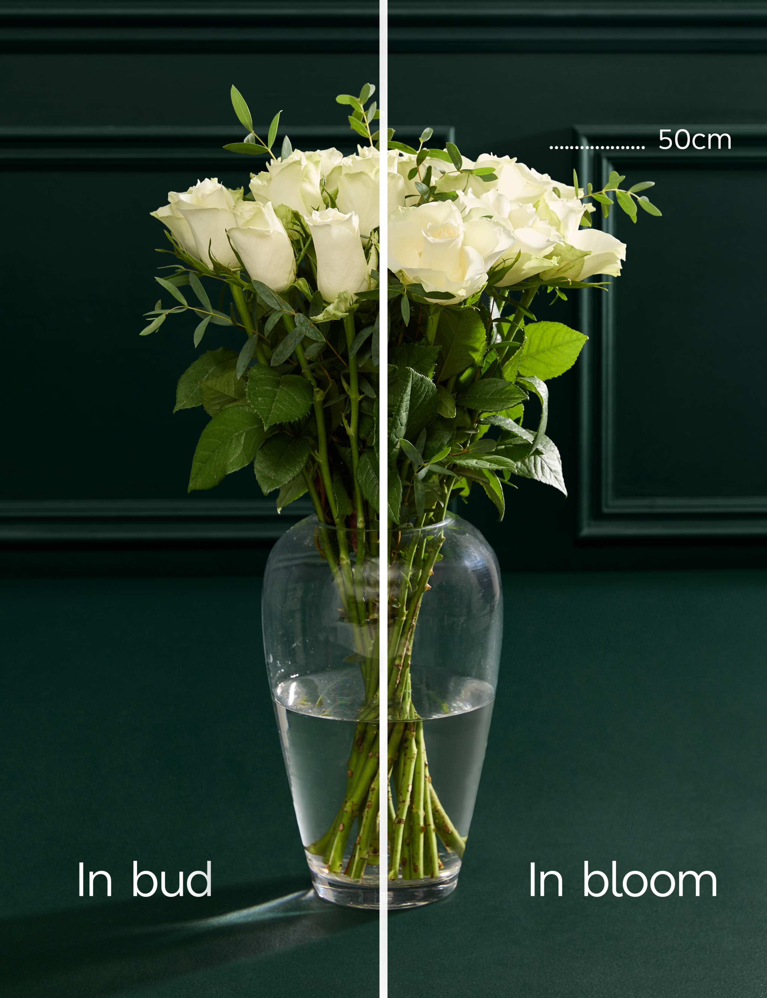 White Rose & Eucalyptus Letterbox Flowers 5 of 6