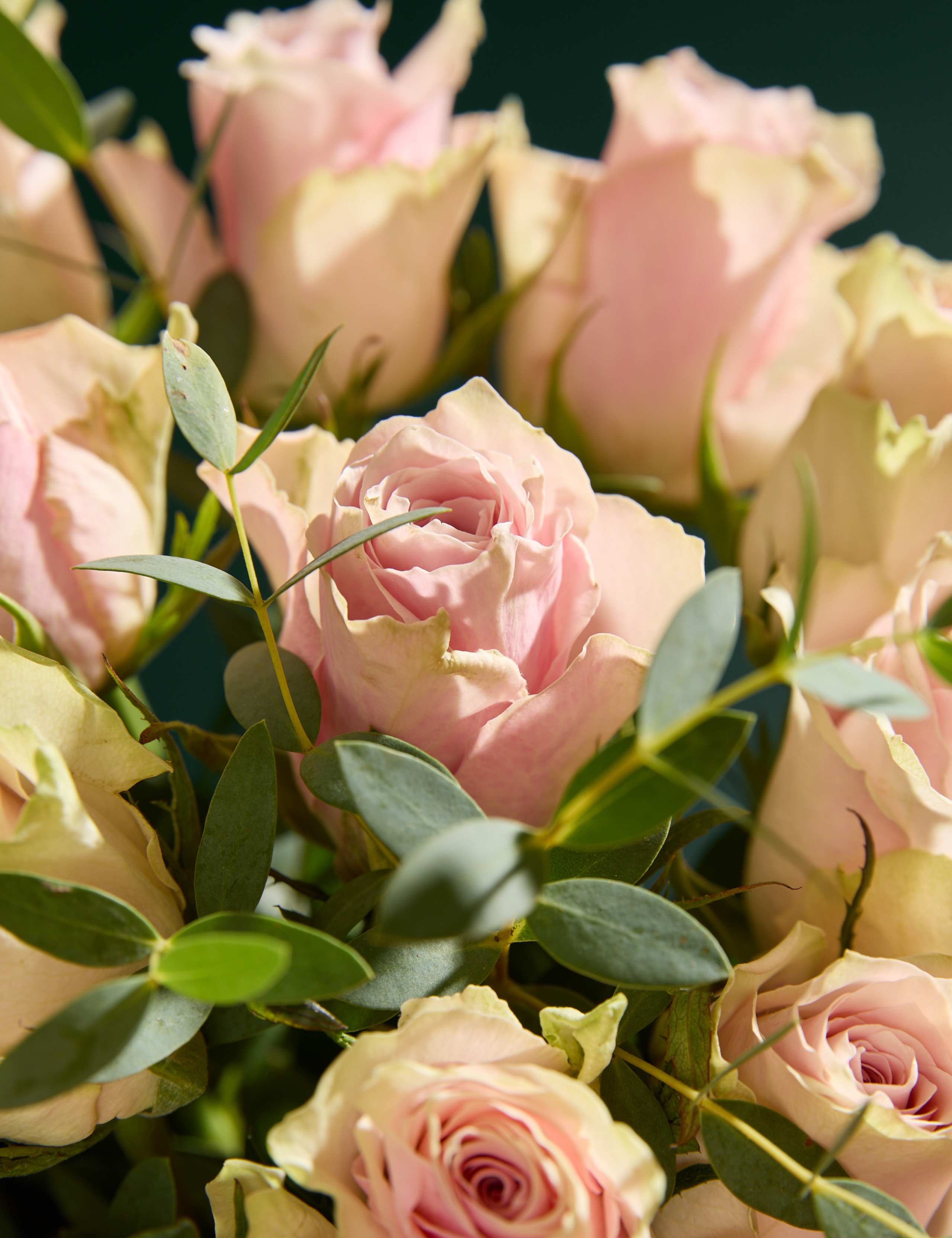 Blush Rose & Eucalyptus Letterbox Flowers 3 of 6