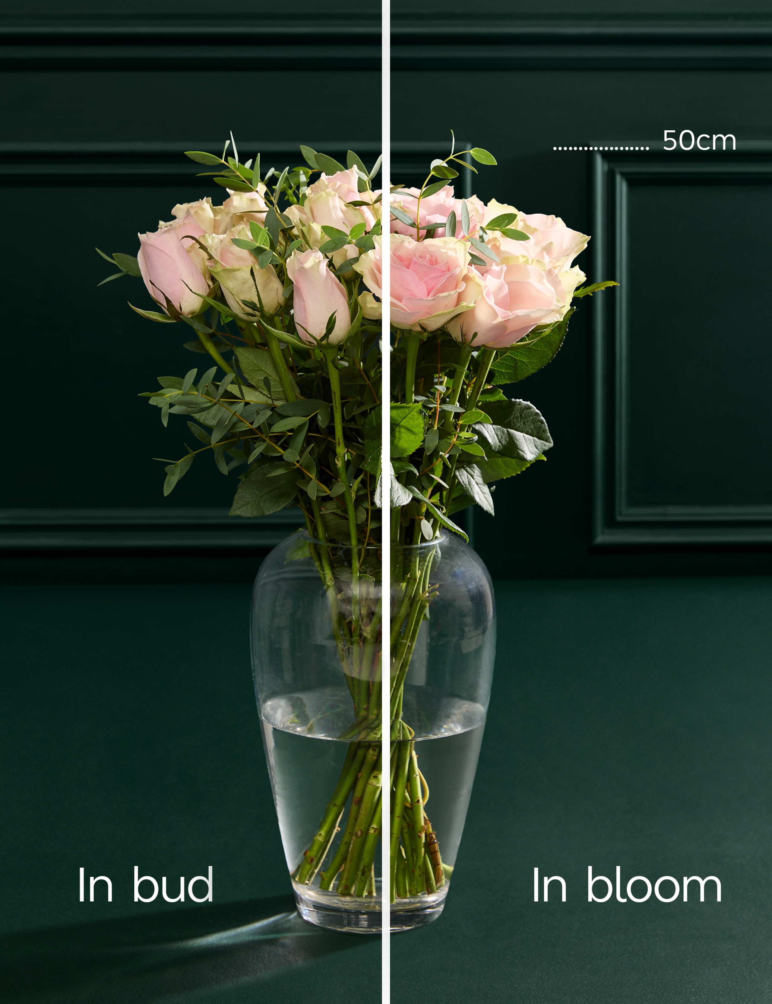 Blush Rose & Eucalyptus Letterbox Flowers 5 of 6
