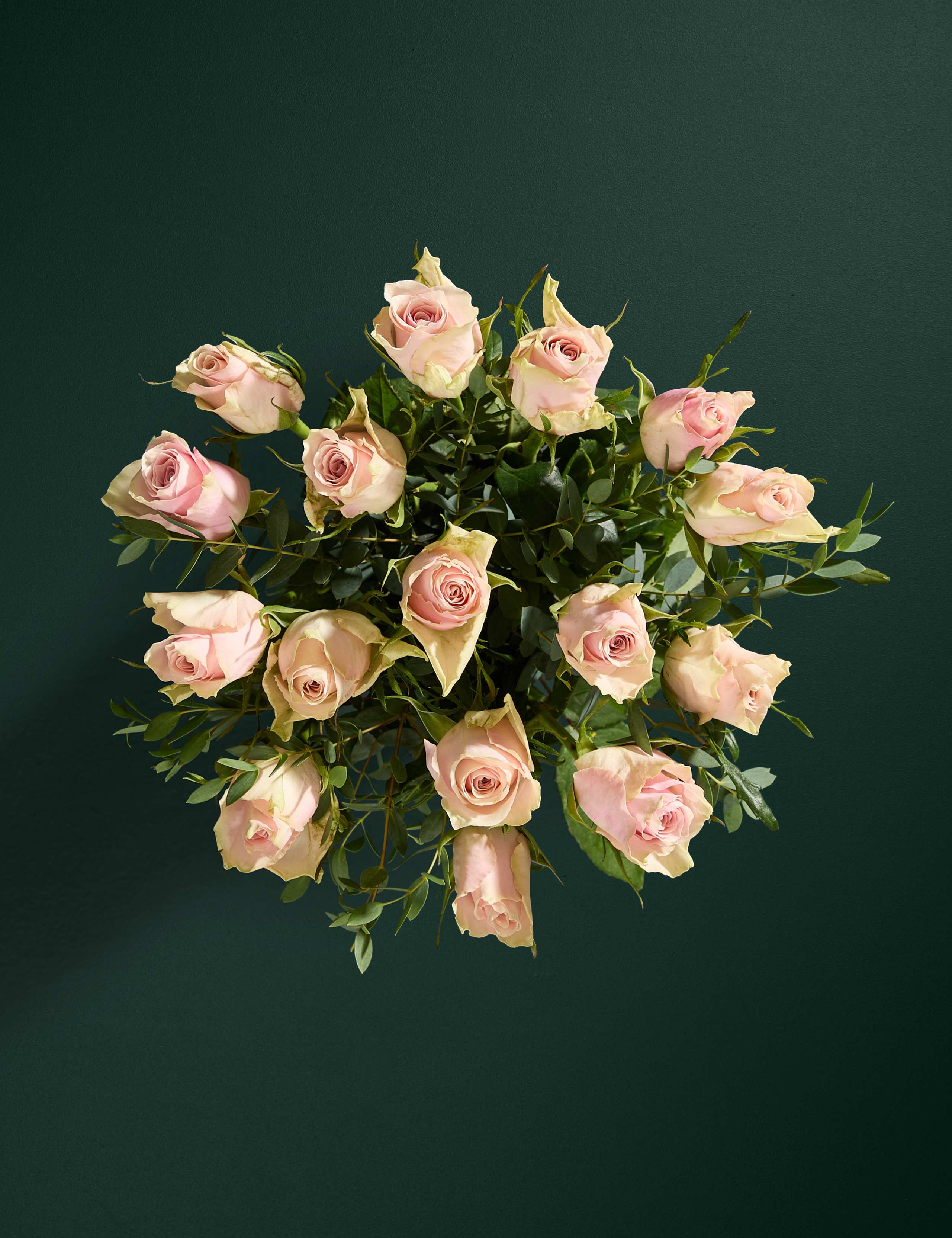 Blush Rose & Eucalyptus Letterbox Flowers 2 of 6