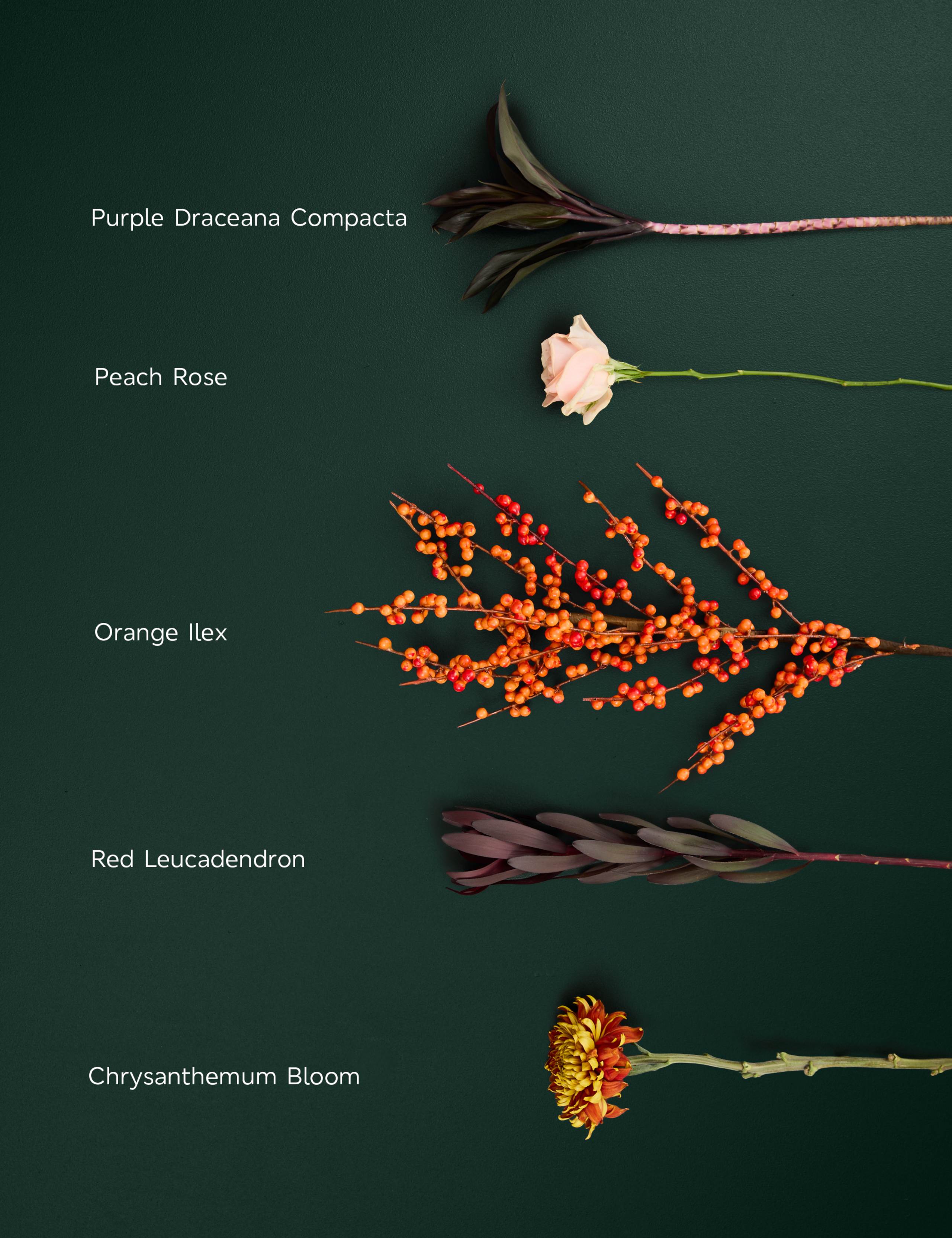 Autumnal Bouquet with Halloween Letterbox Gift 5 of 8