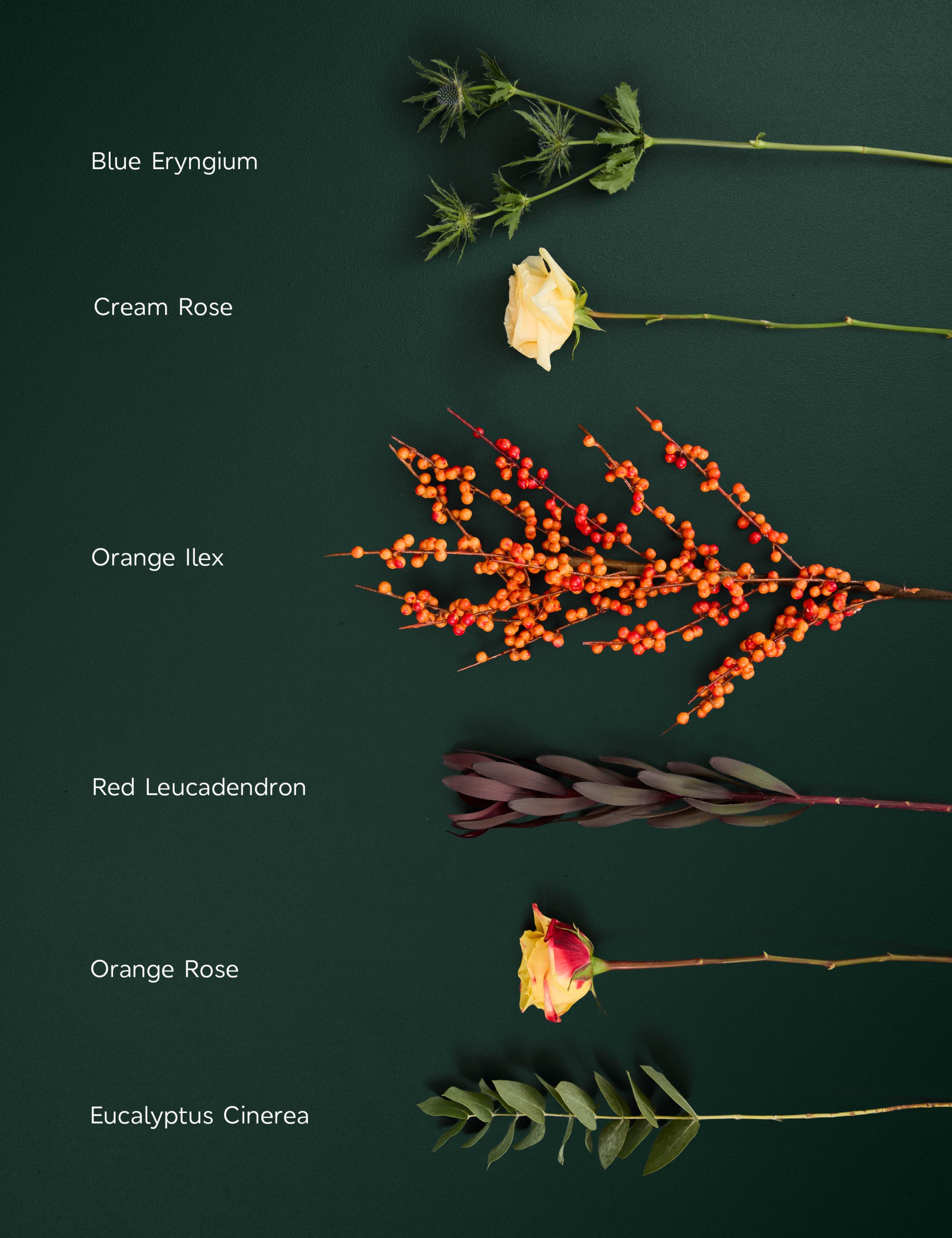 Seasonal Rose & Ilex Bouquet 4 of 7