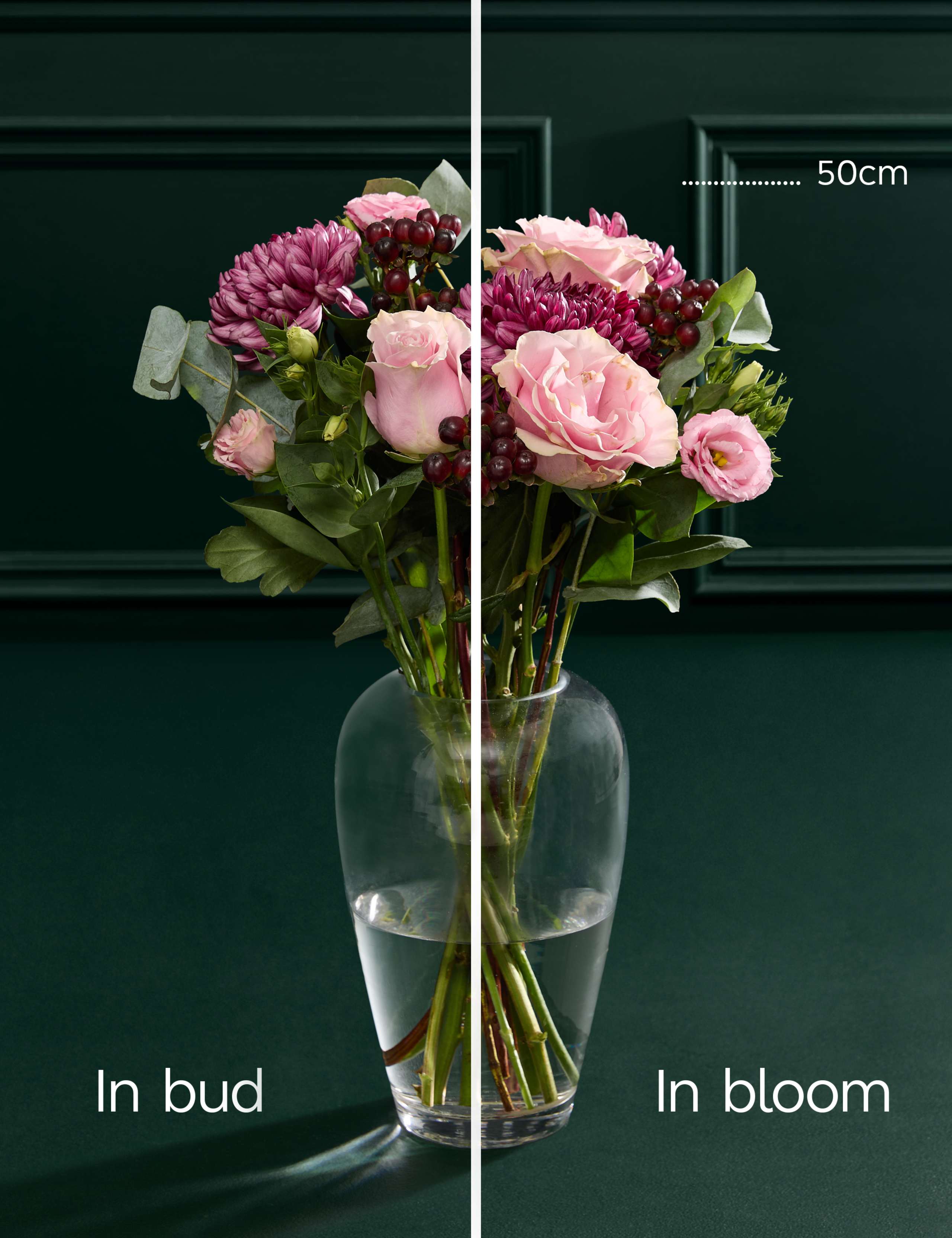 Chrysanthemum Bloom Bouquet 5 of 7