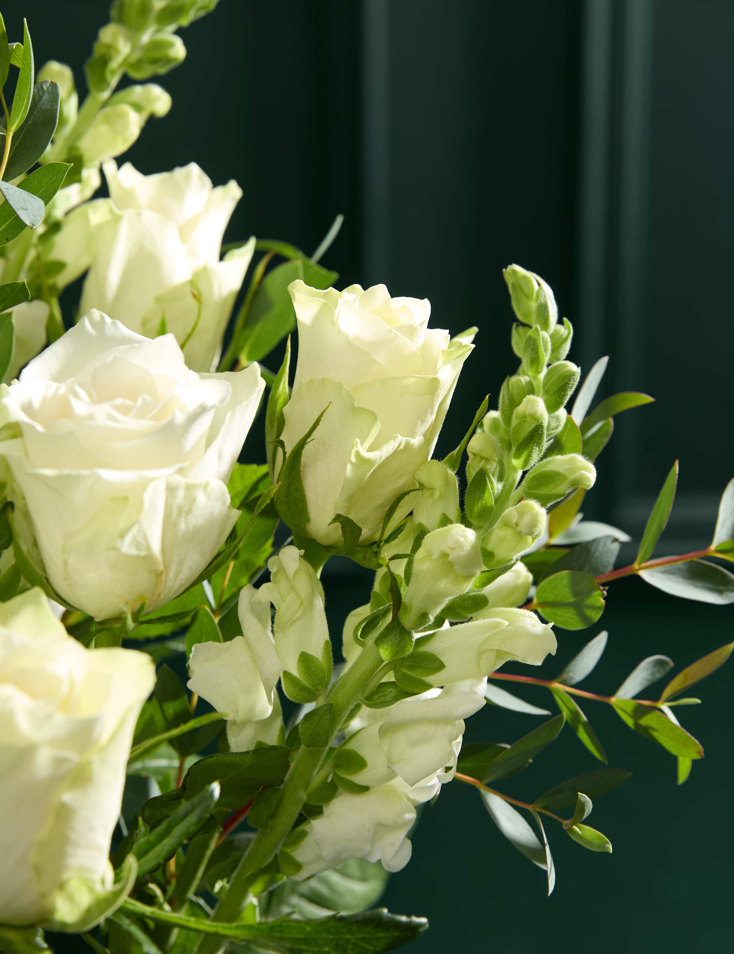 White Rose & Antirrhinum Letterbox Flowers 3 of 6