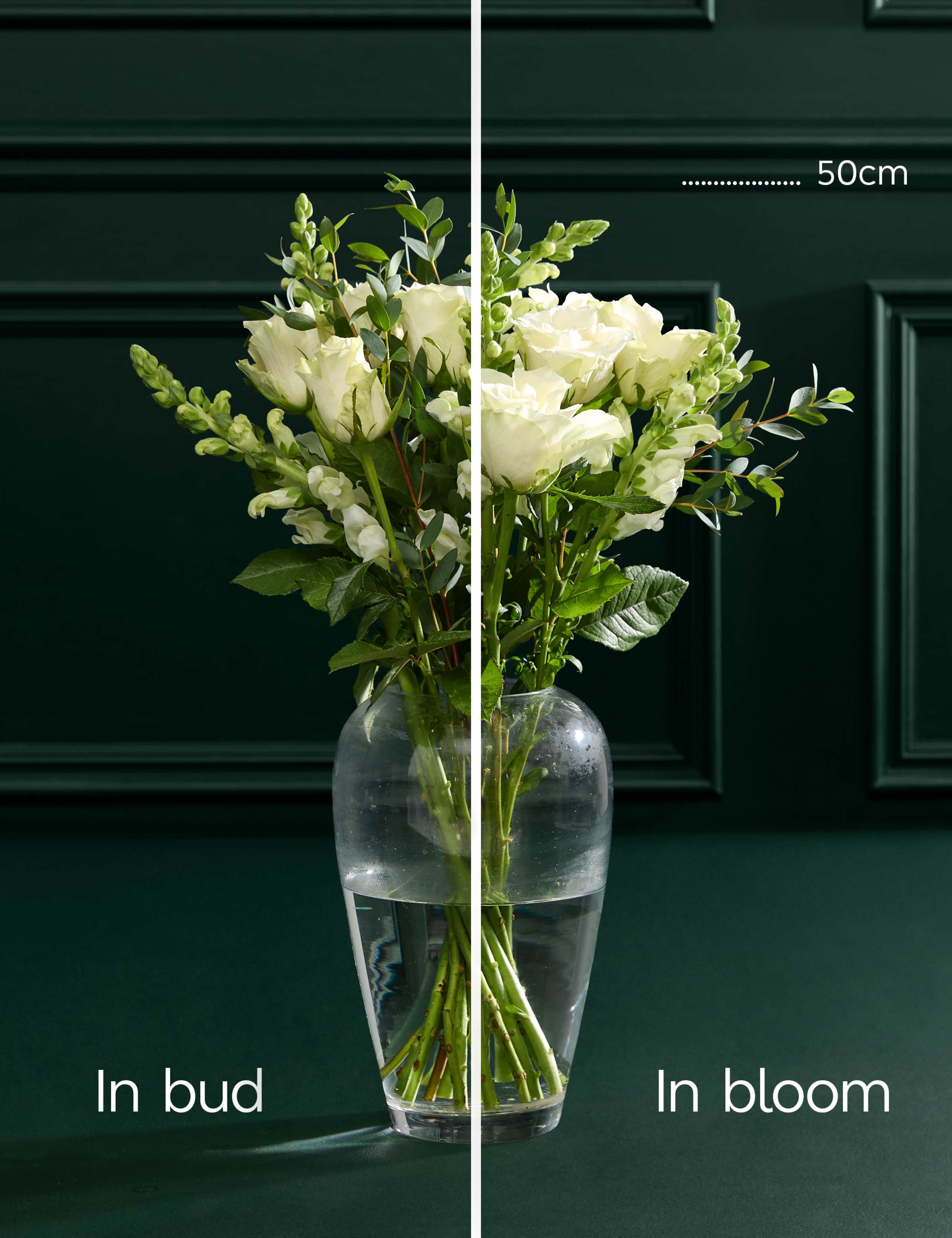 White Rose & Antirrhinum Letterbox Flowers 5 of 6