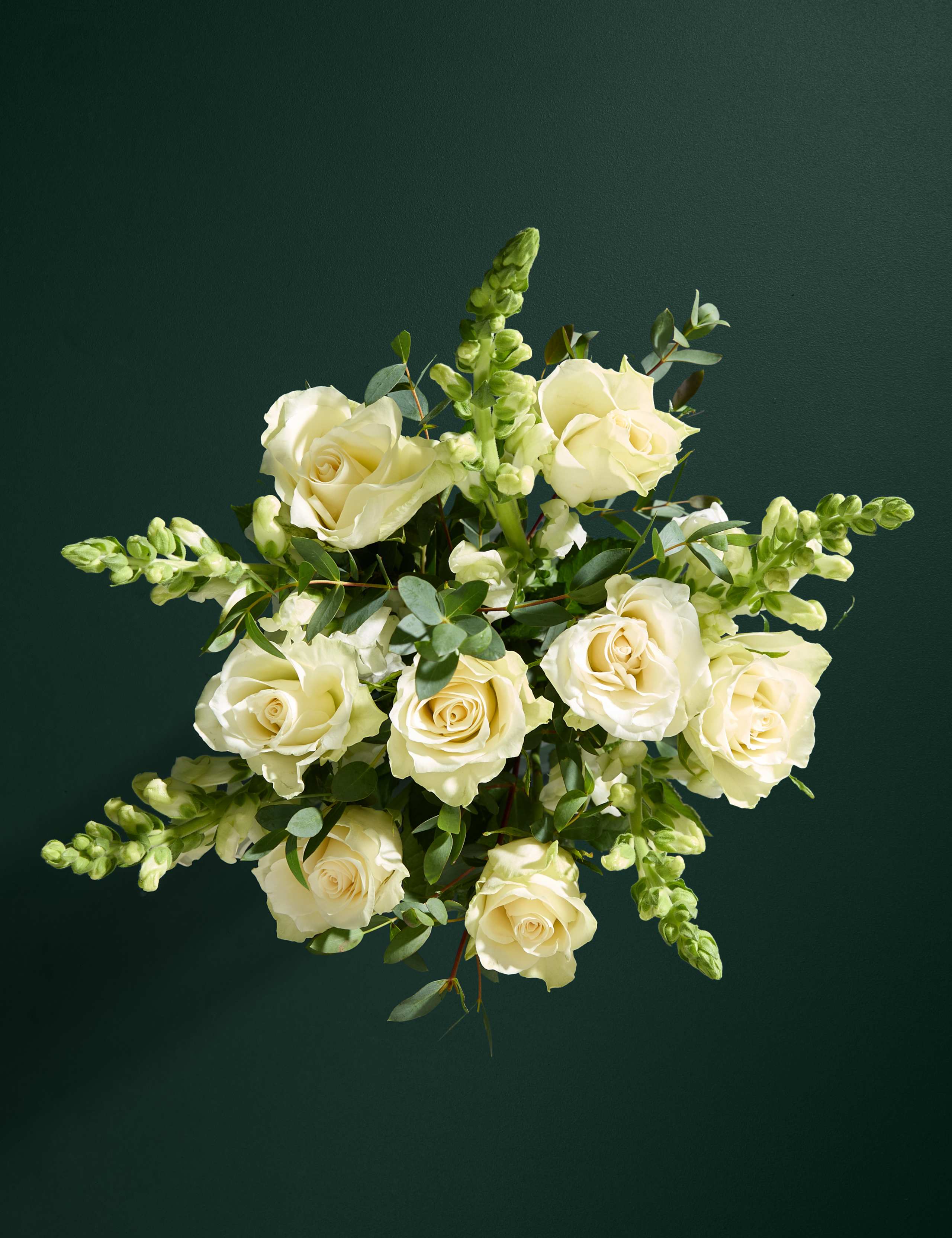 White Rose & Antirrhinum Letterbox Flowers 2 of 6