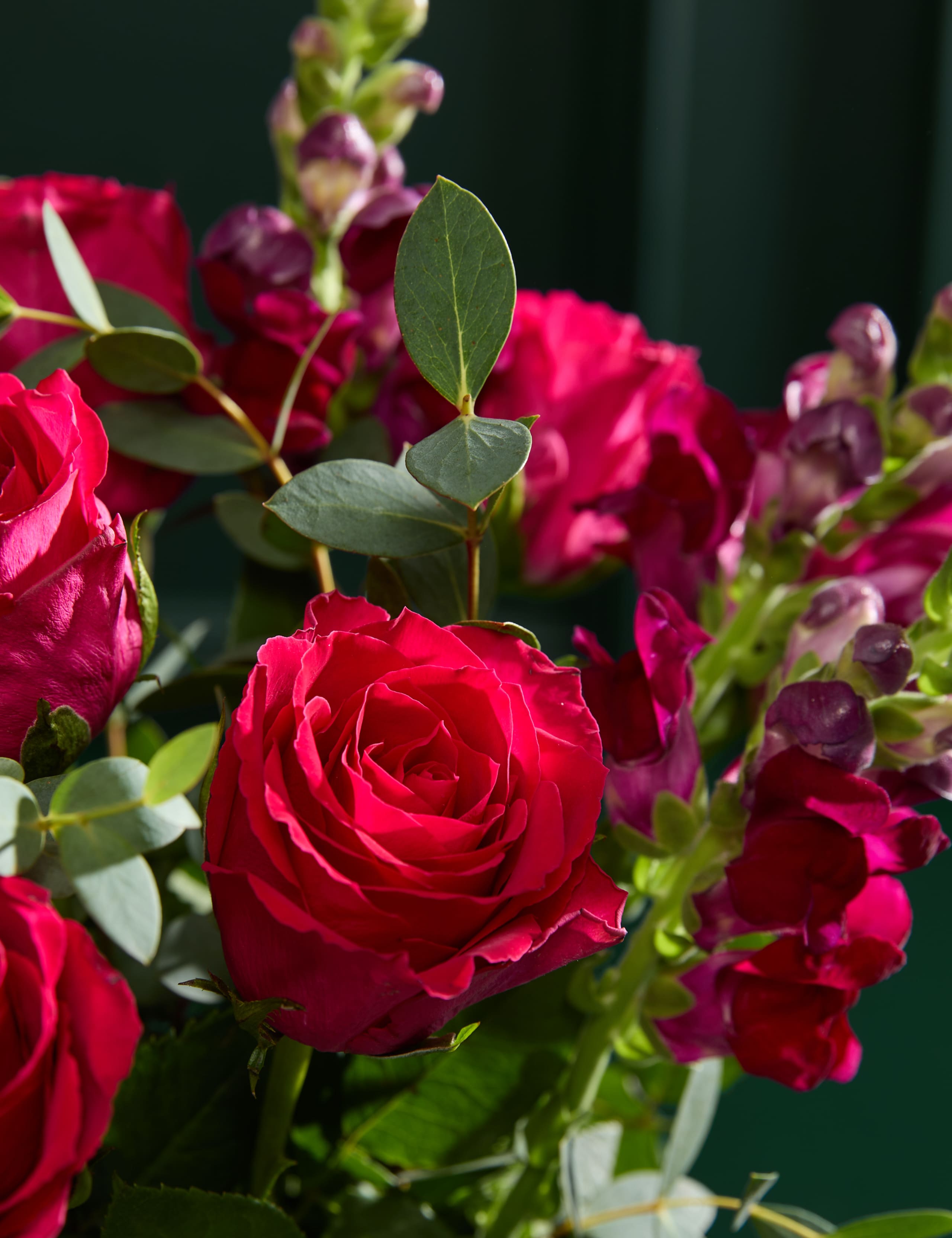 Vibrant Rose & Antirrhinum Letterbox Flowers 3 of 6