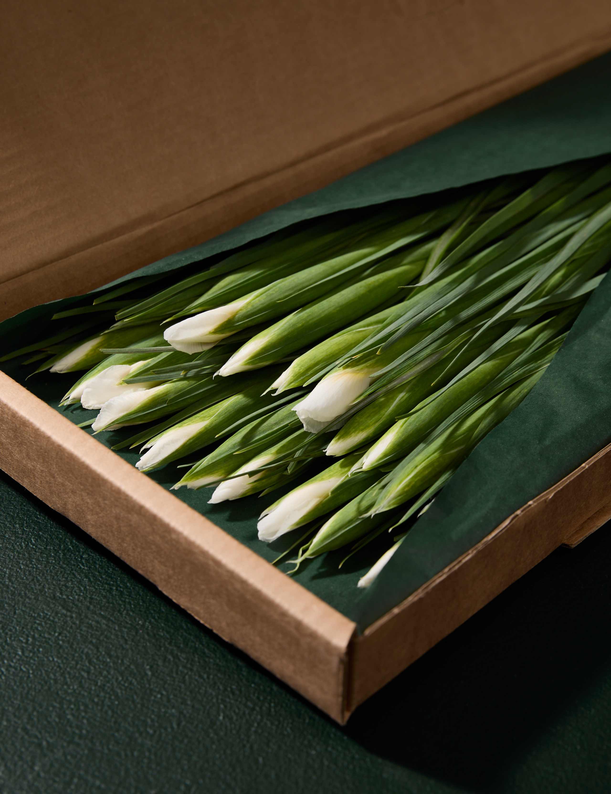 White Iris Letterbox Flowers 4 of 8