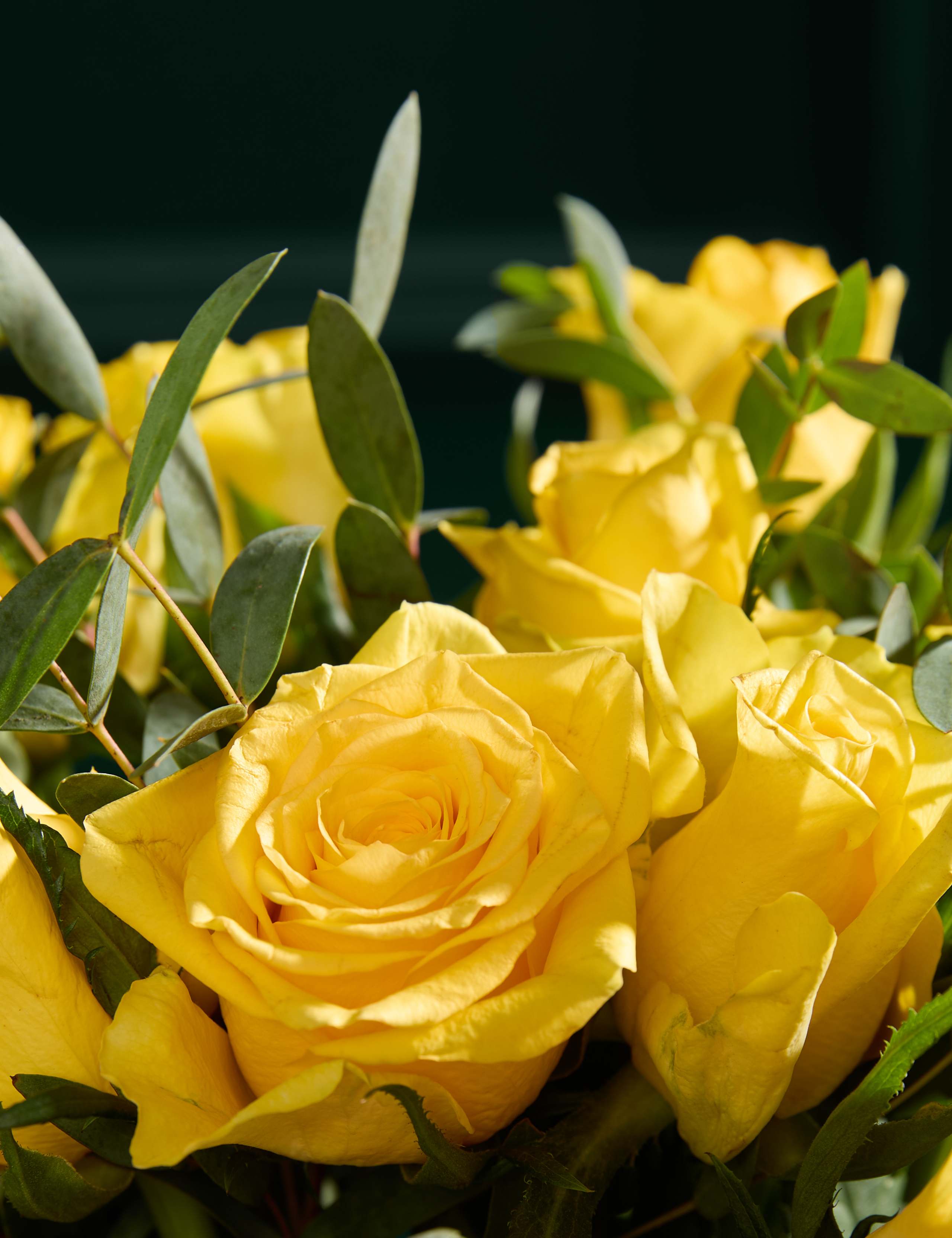 Yellow Rose & Eucalyptus Letterbox Flowers 3 of 6