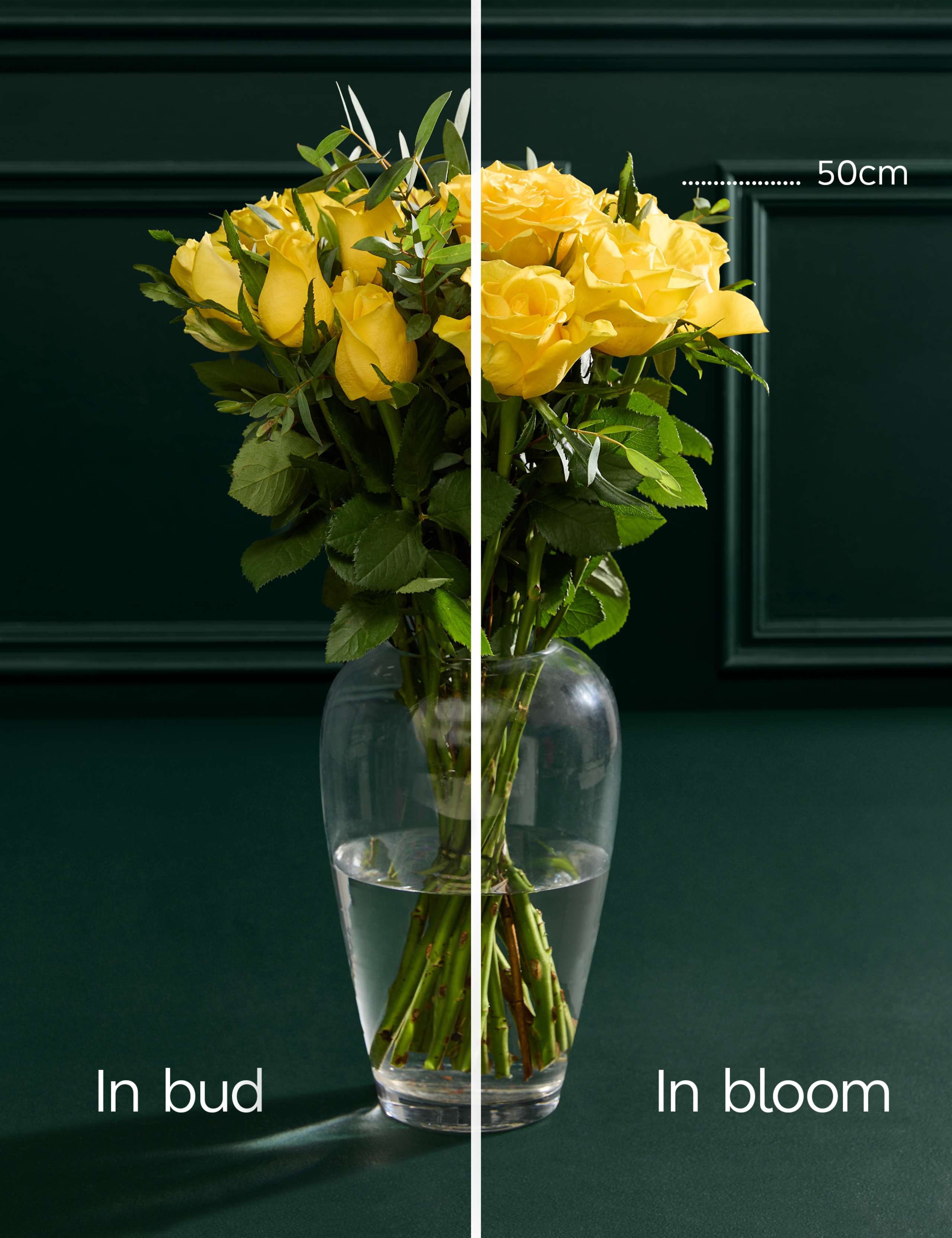 Yellow Rose & Eucalyptus Letterbox Flowers 5 of 6