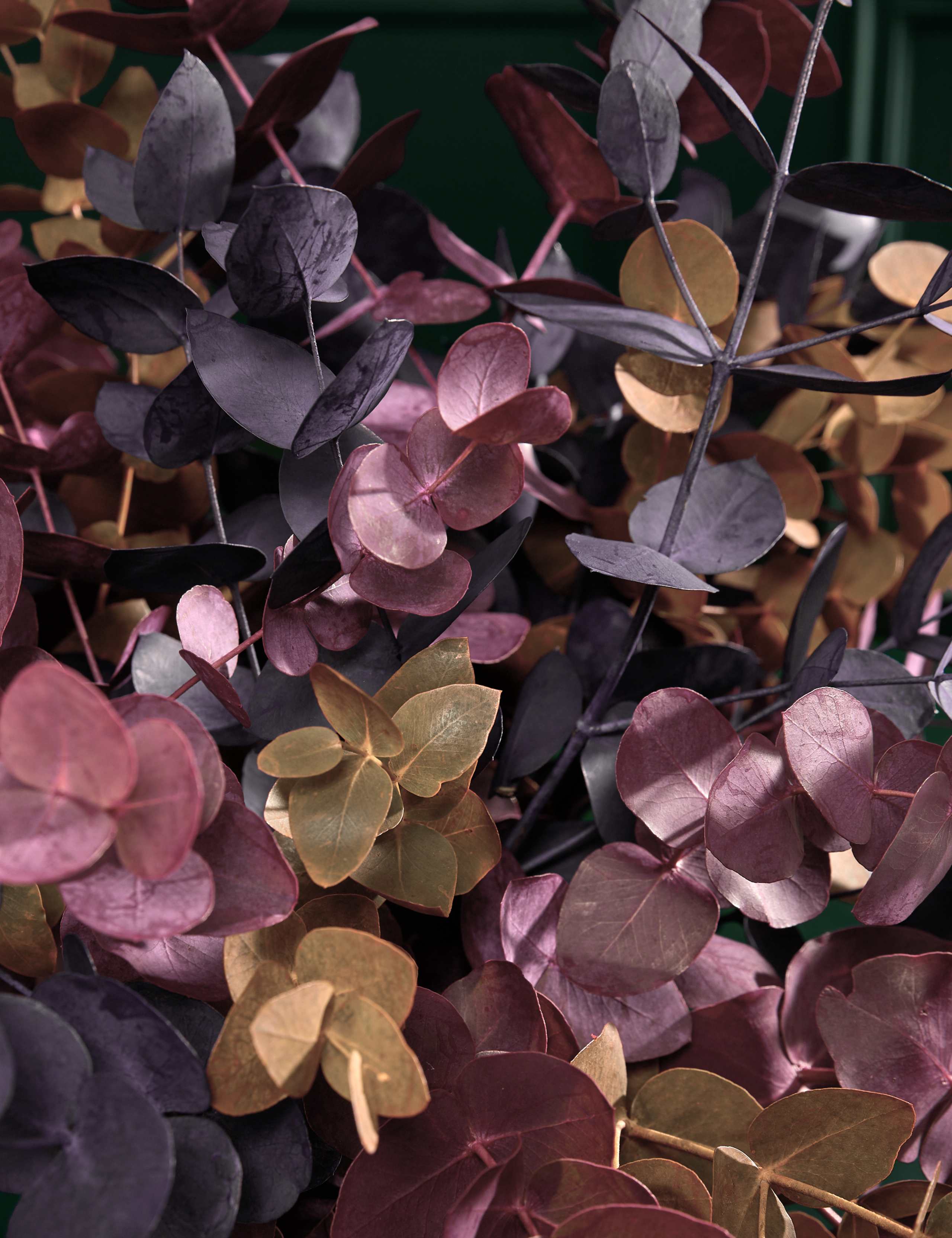 Autumnal Eucalyptus Abundance Bouquet 3 of 6