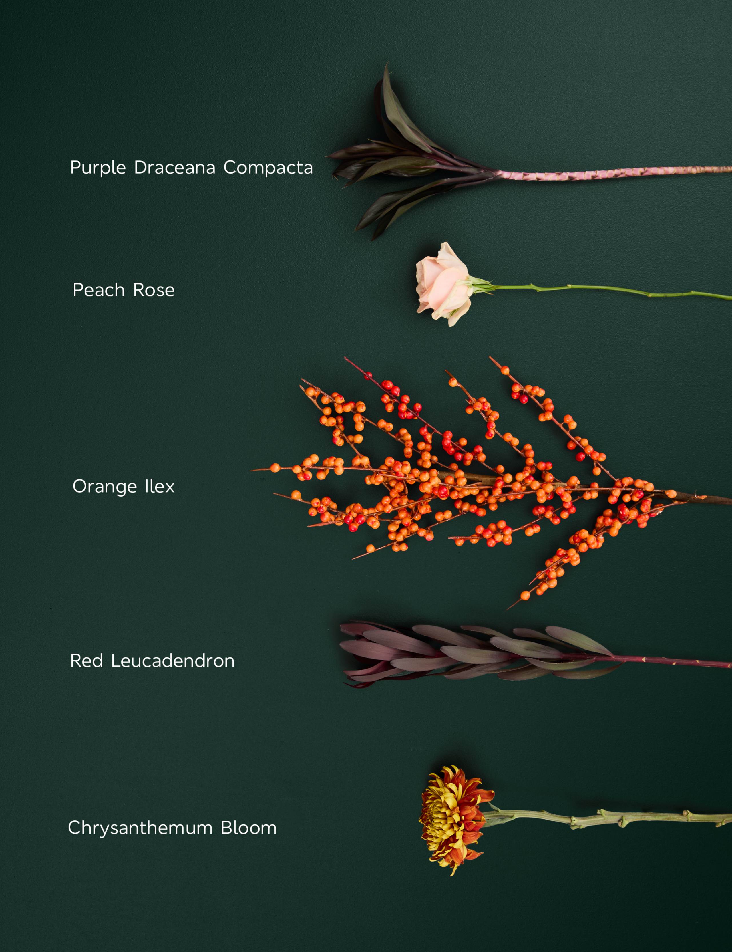 Orange Bloom & Ilex Bouquet 4 of 6