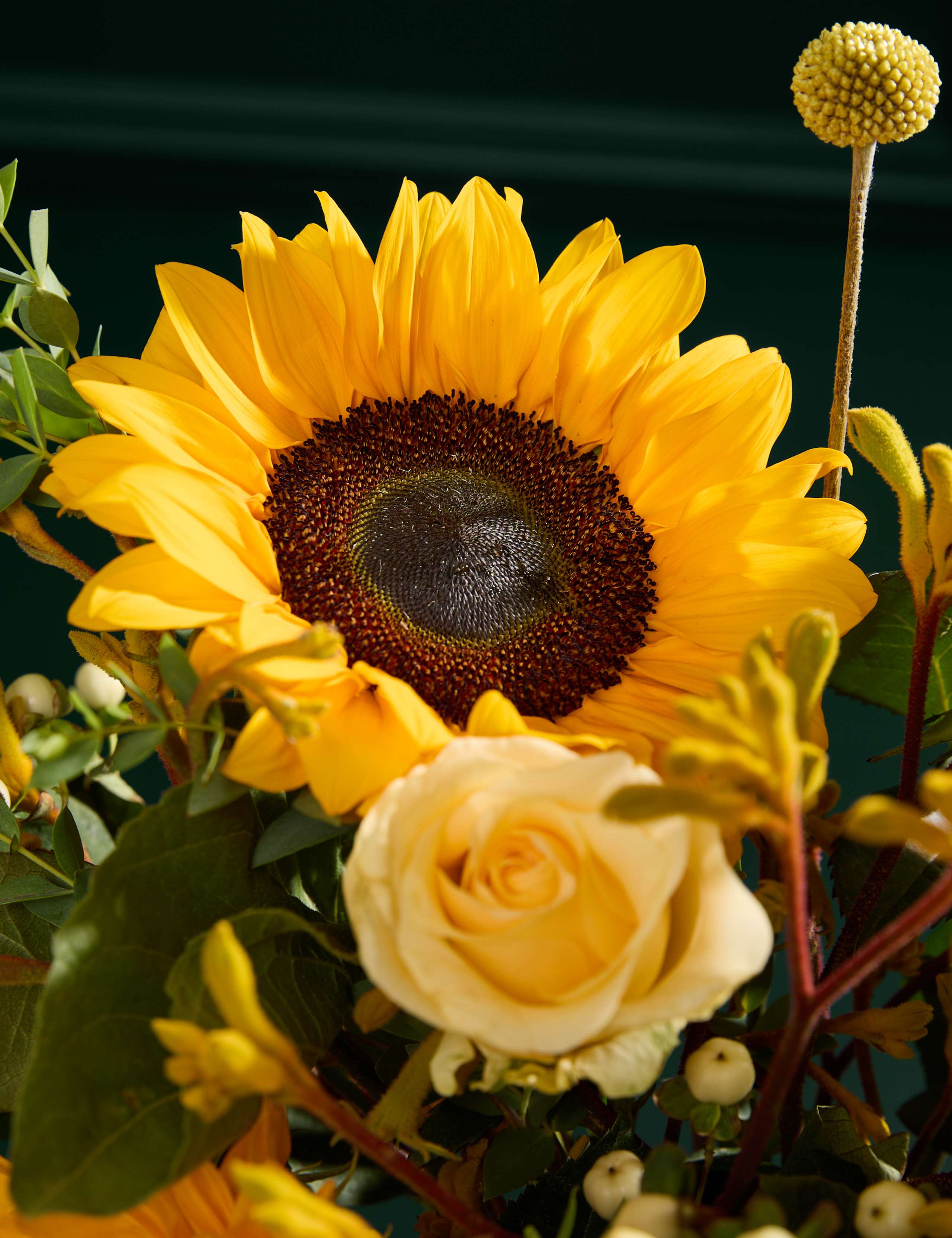 Sunflower & Kangaroo Paw Bouquet 3 of 7