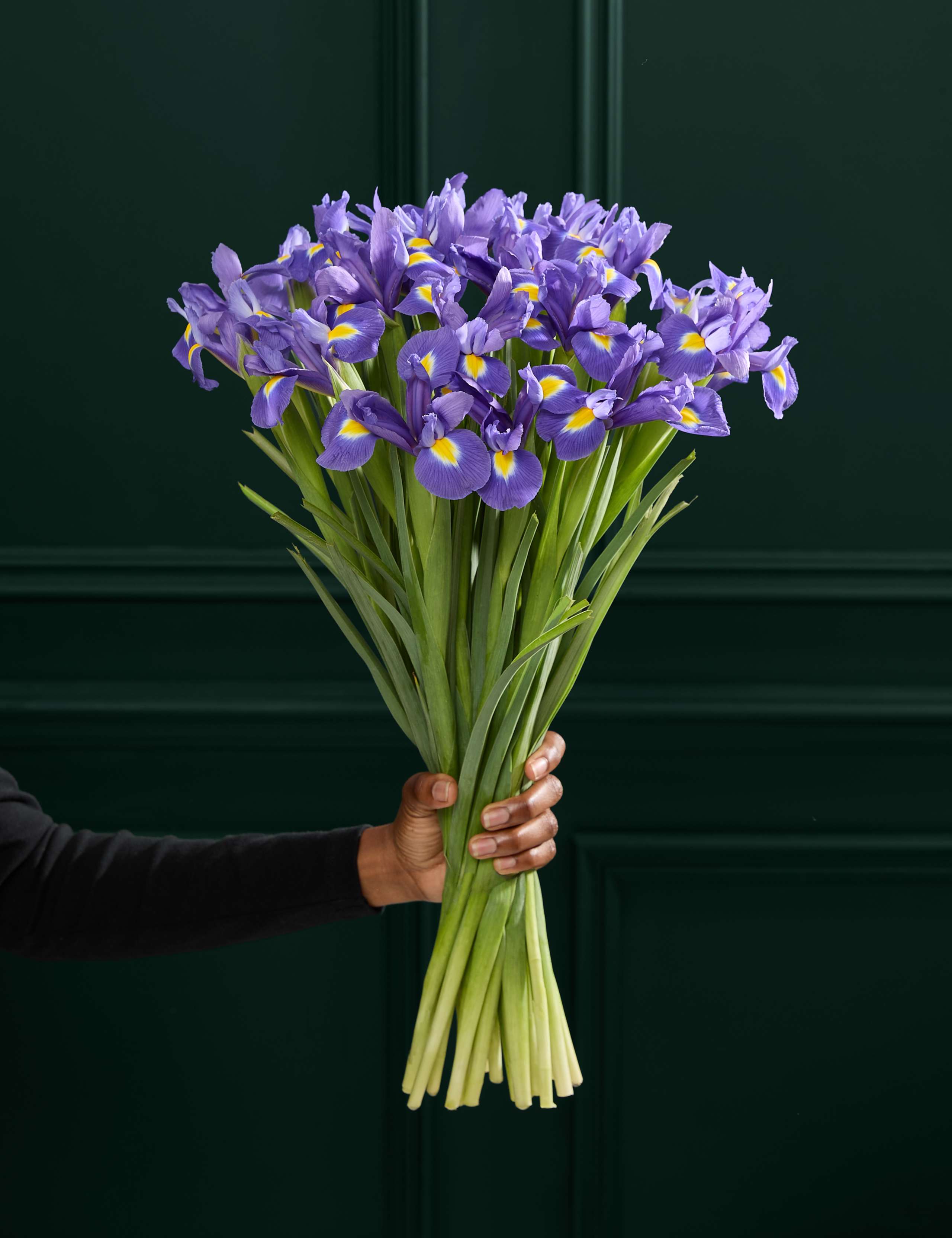 Blue Iris Letterbox Flowers 1 of 6