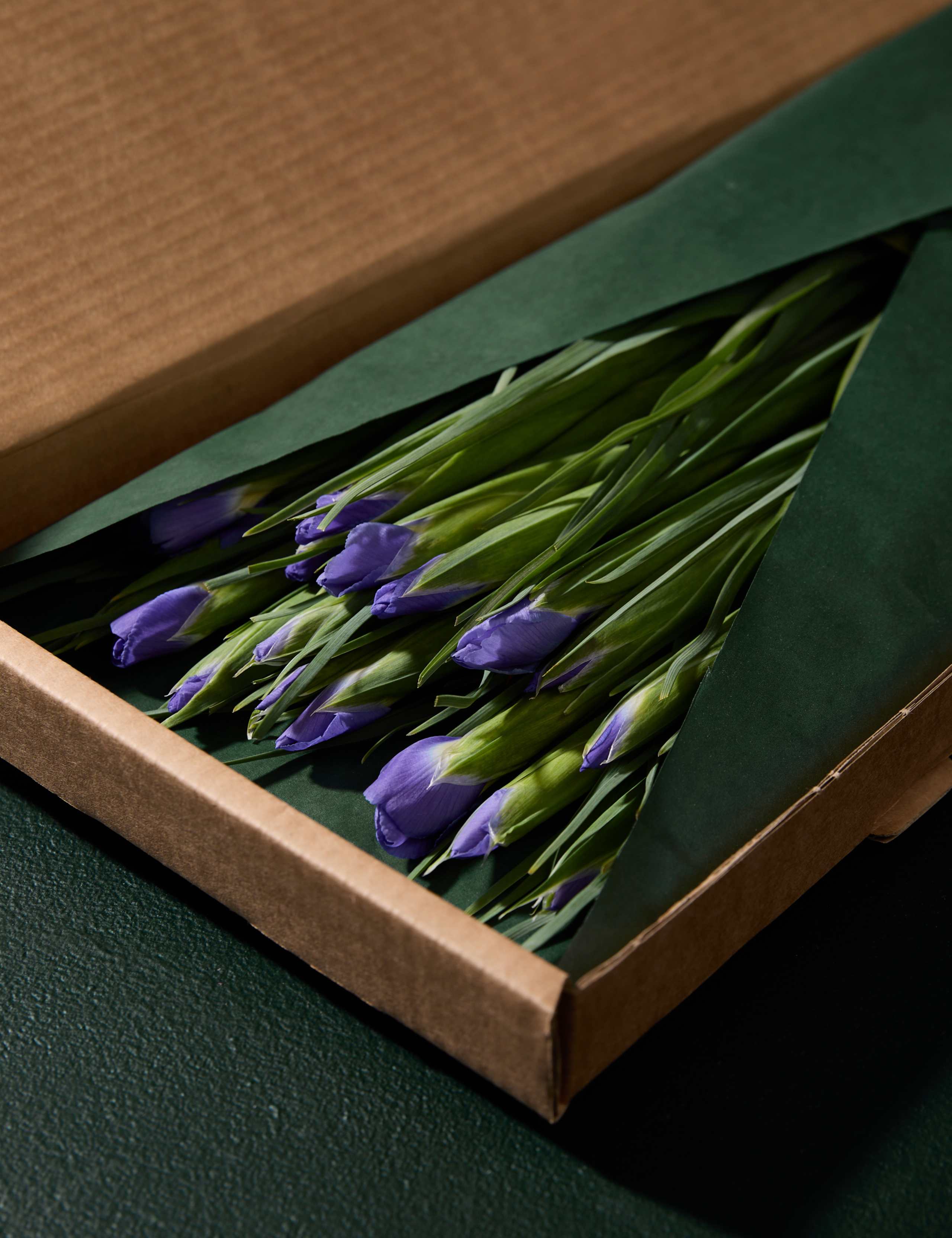 Blue Iris Letterbox Flowers 4 of 8
