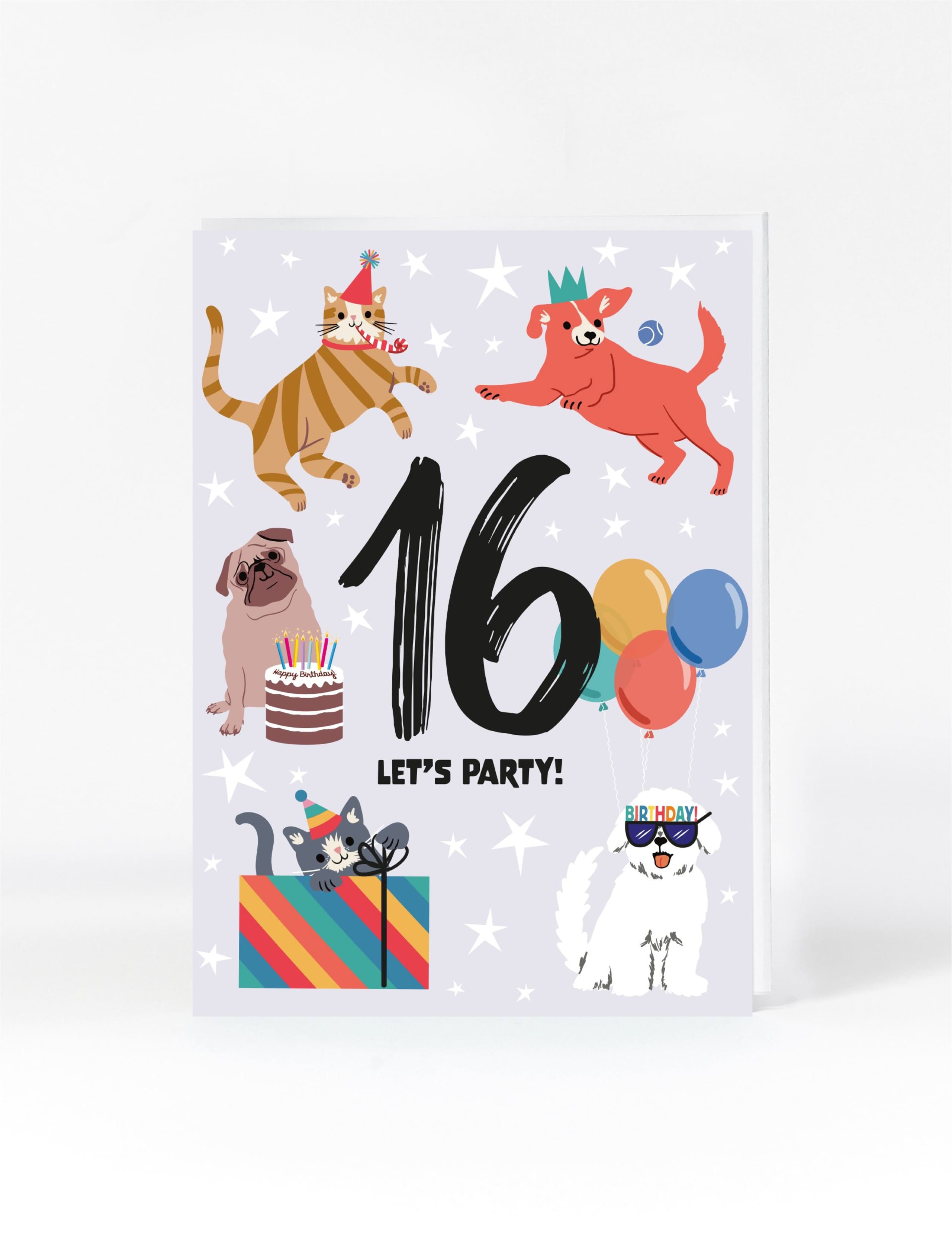 Cats & Dogs 16th Birthday Card 1 of 2