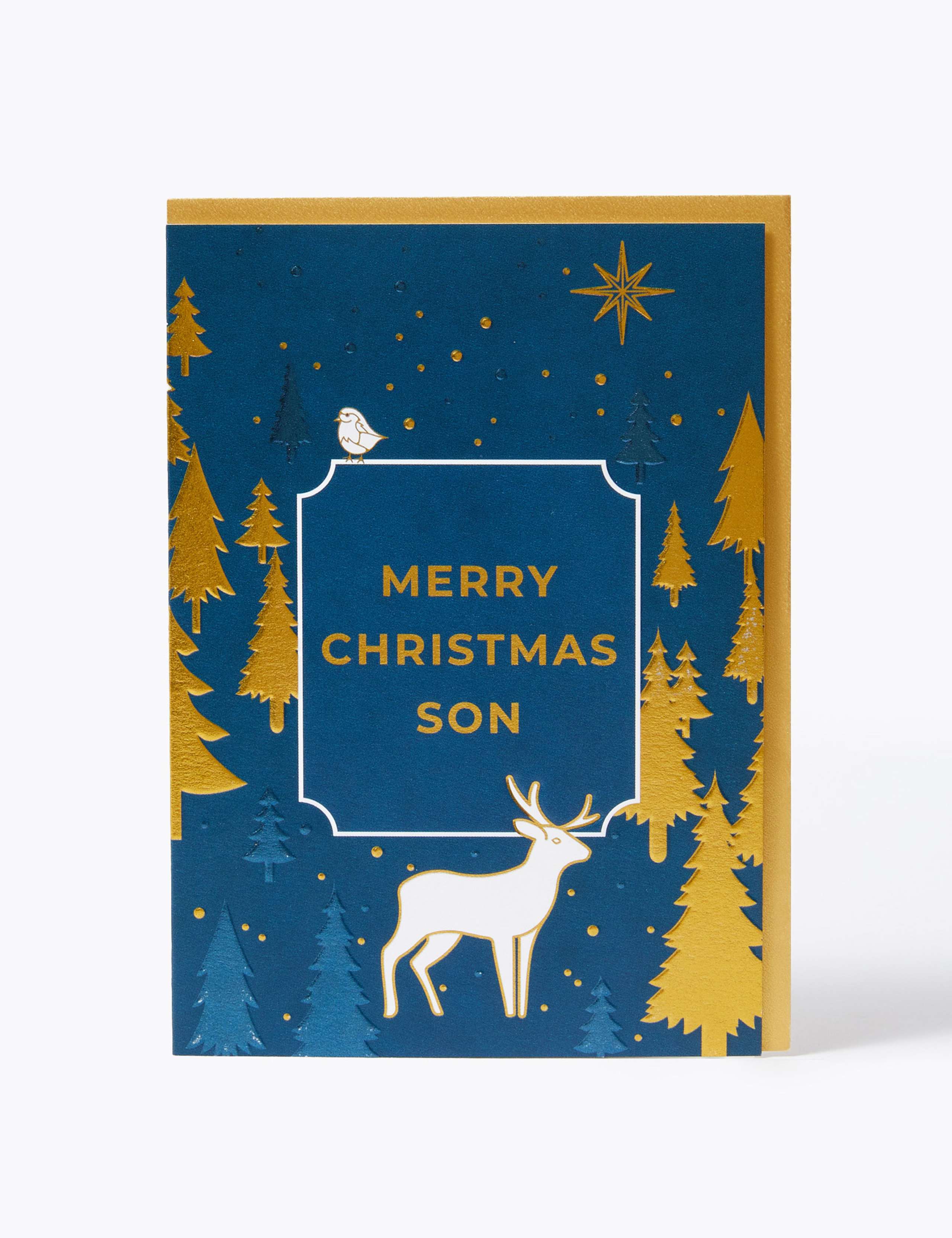 Son Winter Scene Christmas Card 1 of 2