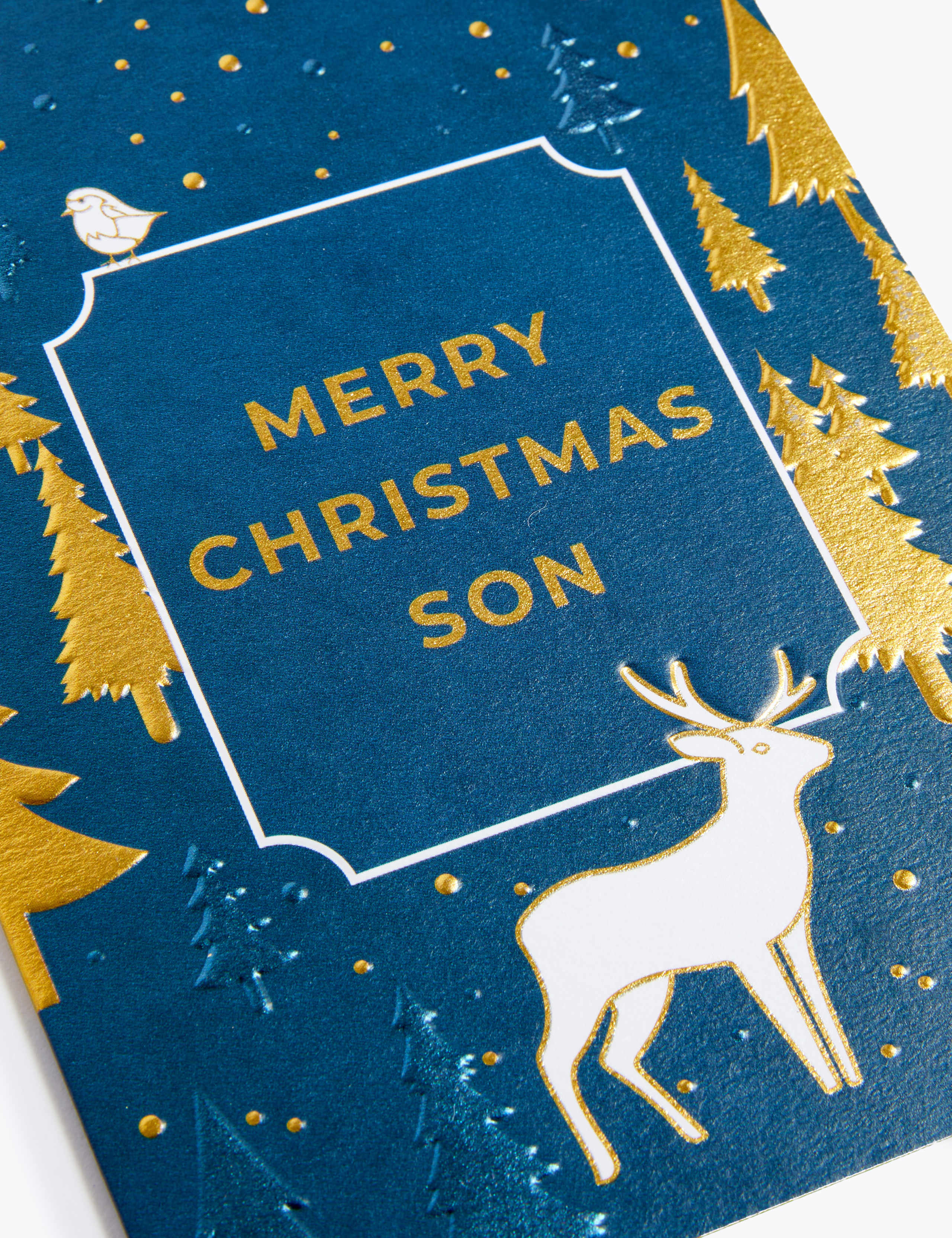 Son Winter Scene Christmas Card 2 of 2