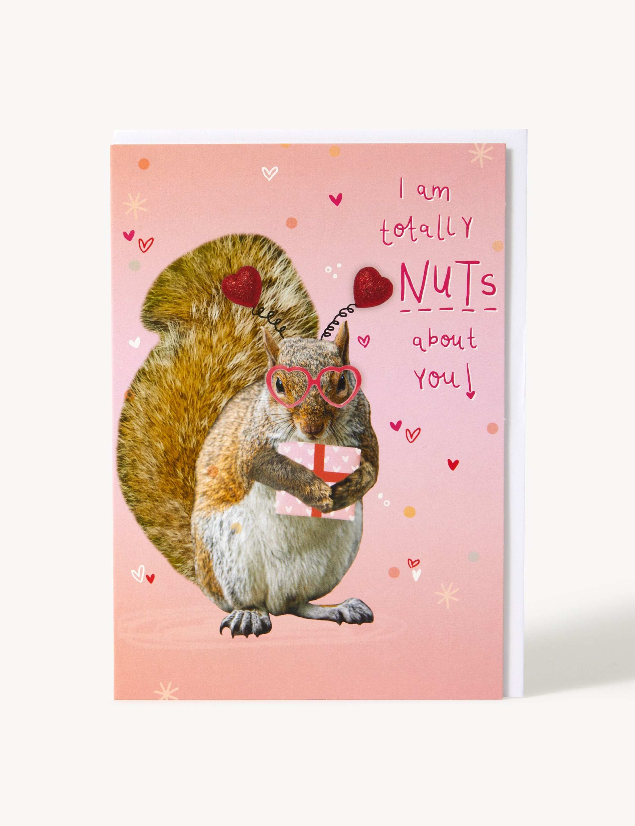Nuts About You Squirrel Valentine's Card 1 of 1