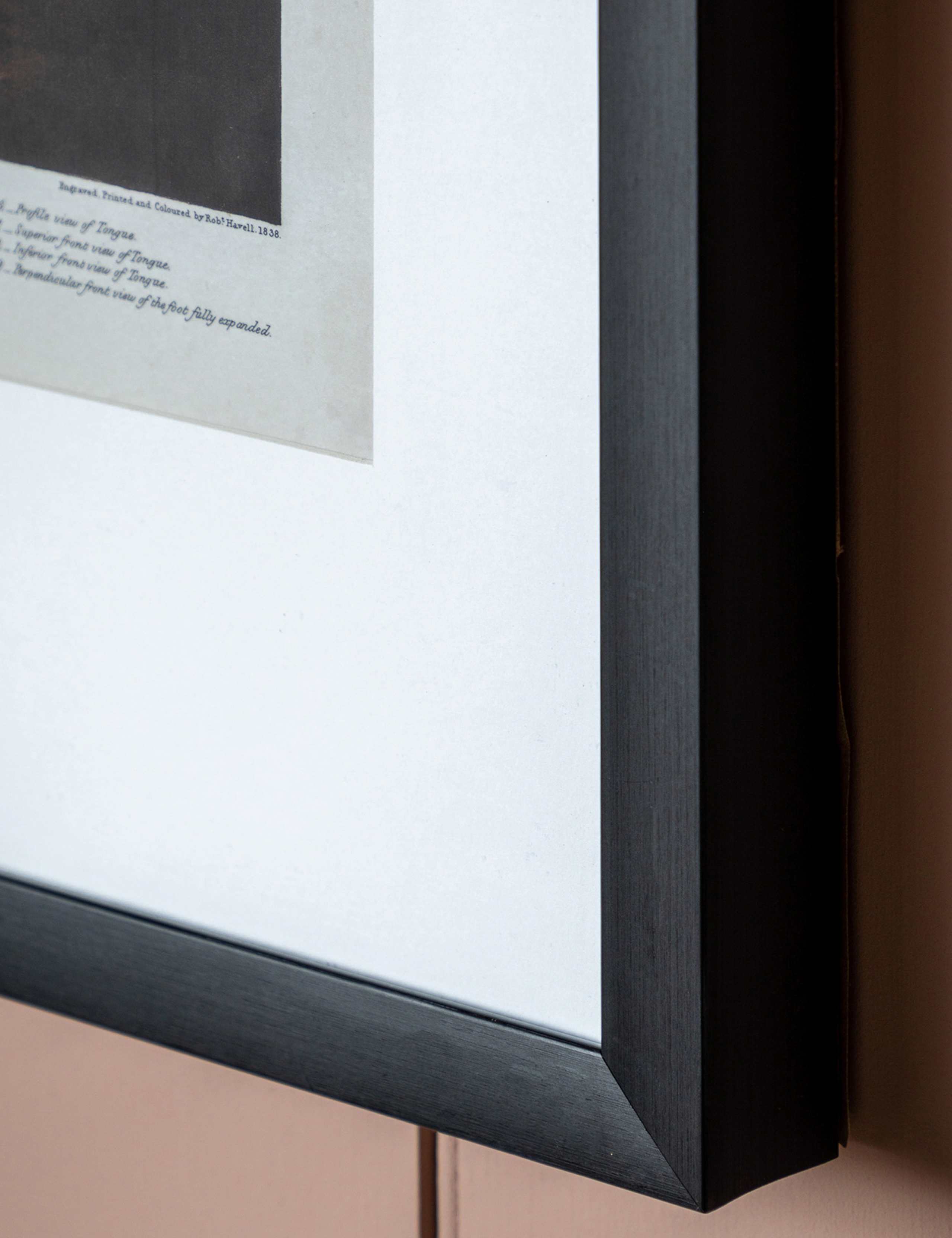 Curious Flamingo Rectangle Framed Art 3 of 4