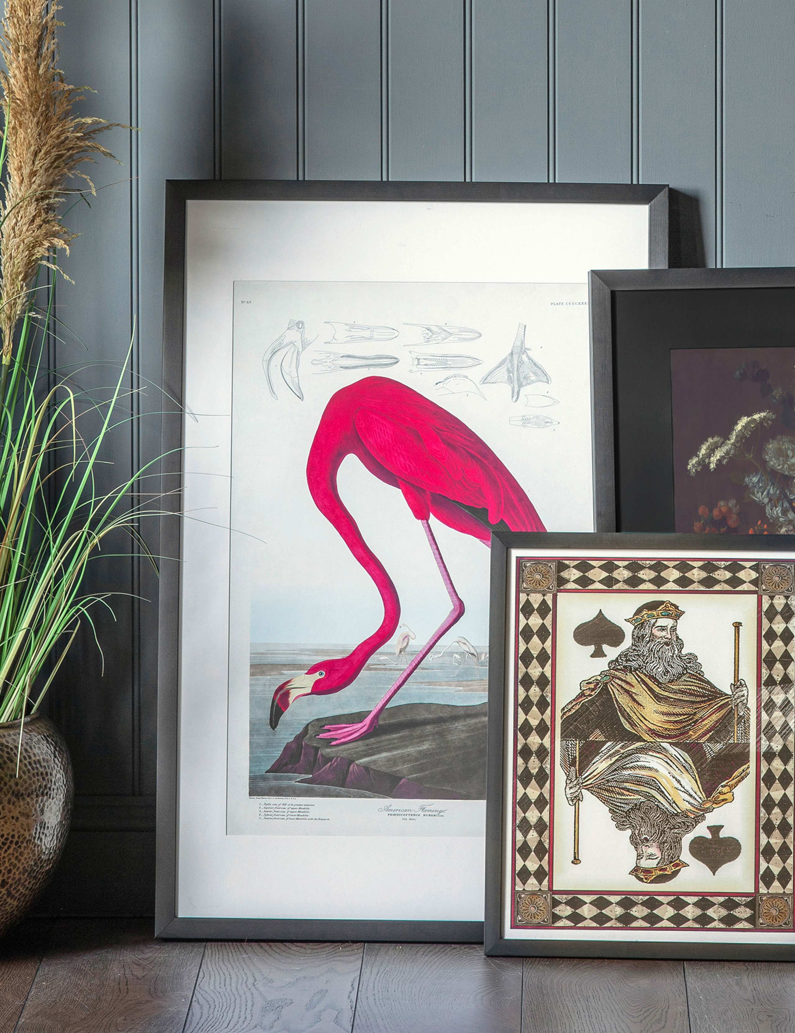 Curious Flamingo Rectangle Framed Art 4 of 4