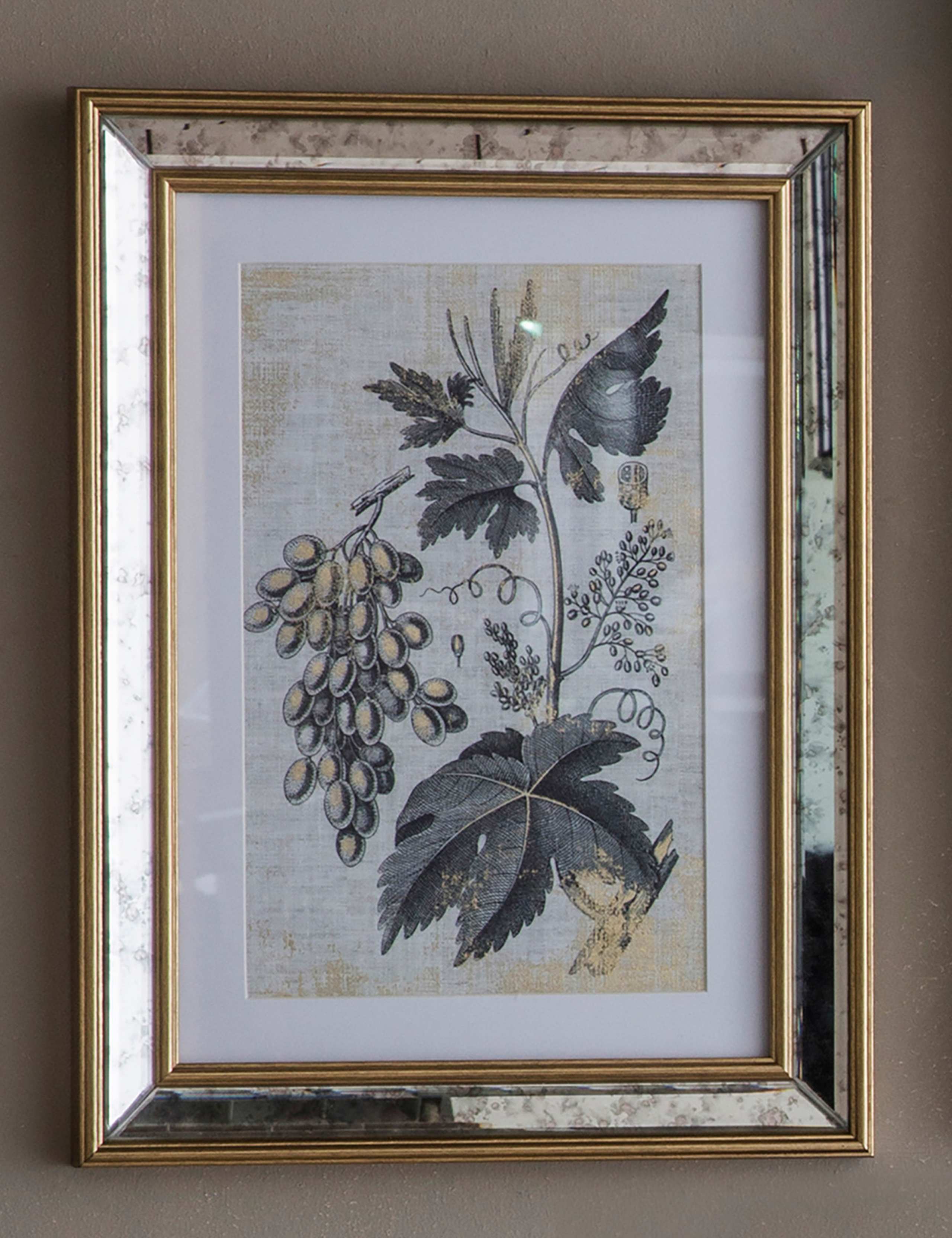 Set of 2 Braun Botanical Rectangle Framed Art 3 of 5