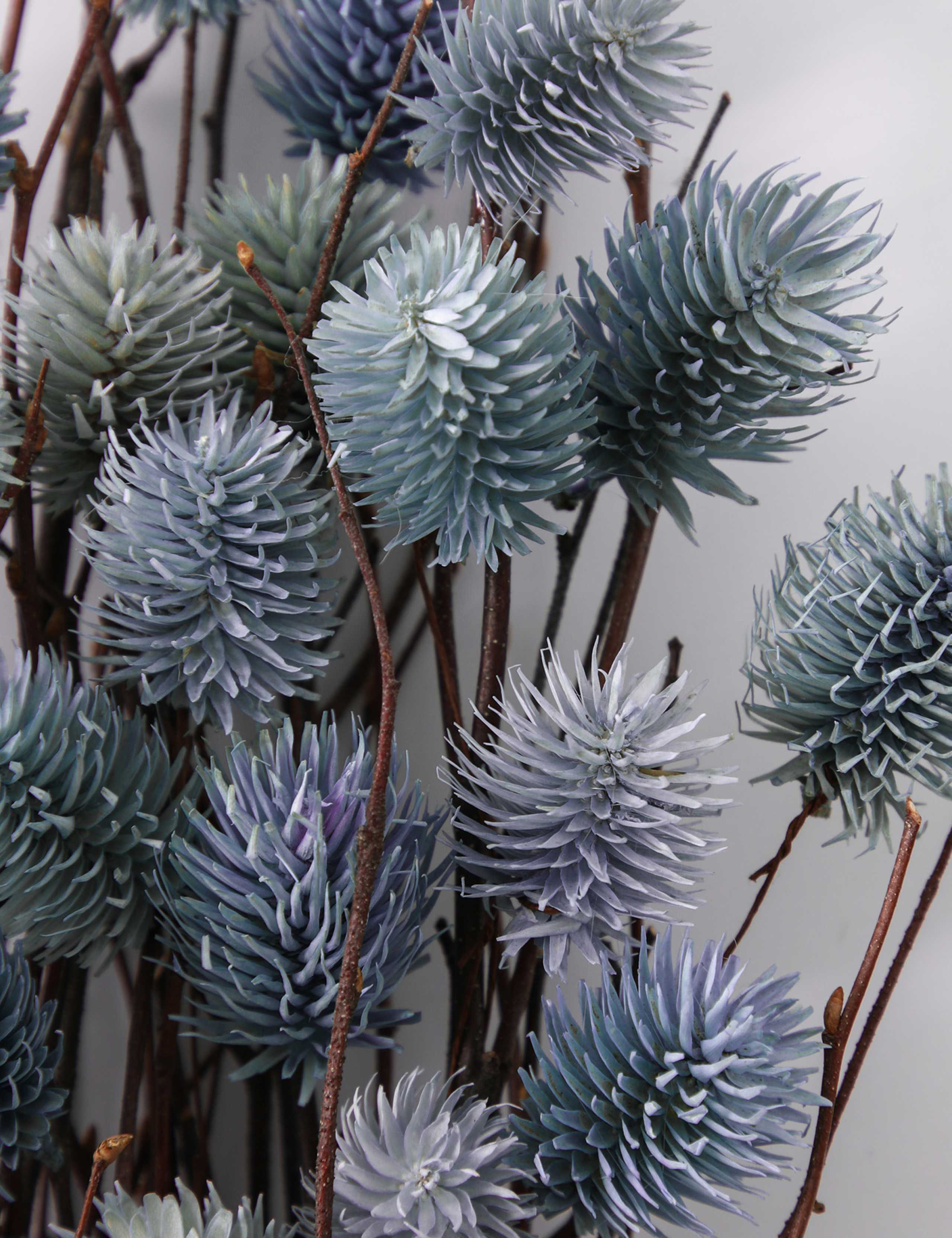 Dried Thistle Bouquet 3 of 3