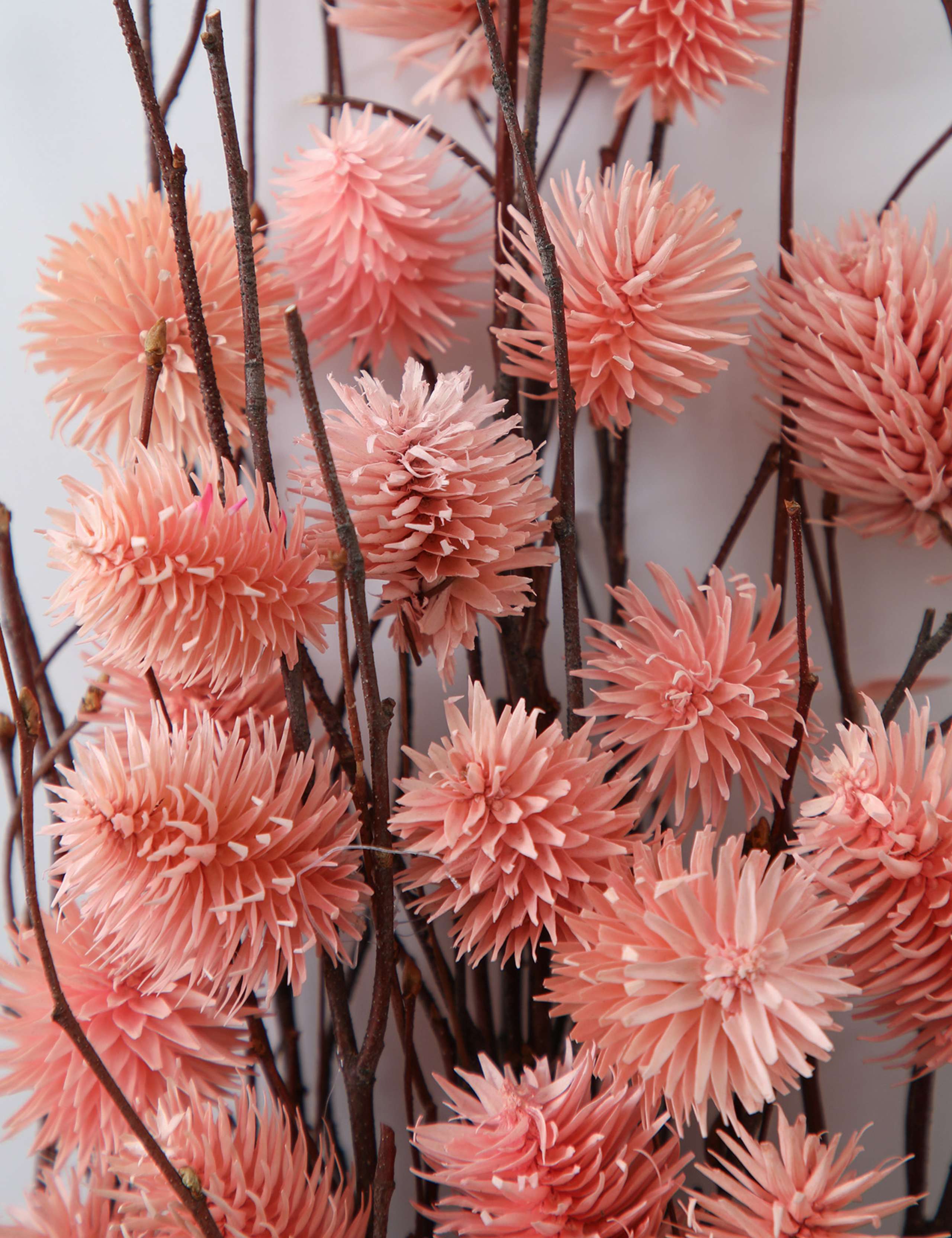 Dried Thistle Bouquet 3 of 3