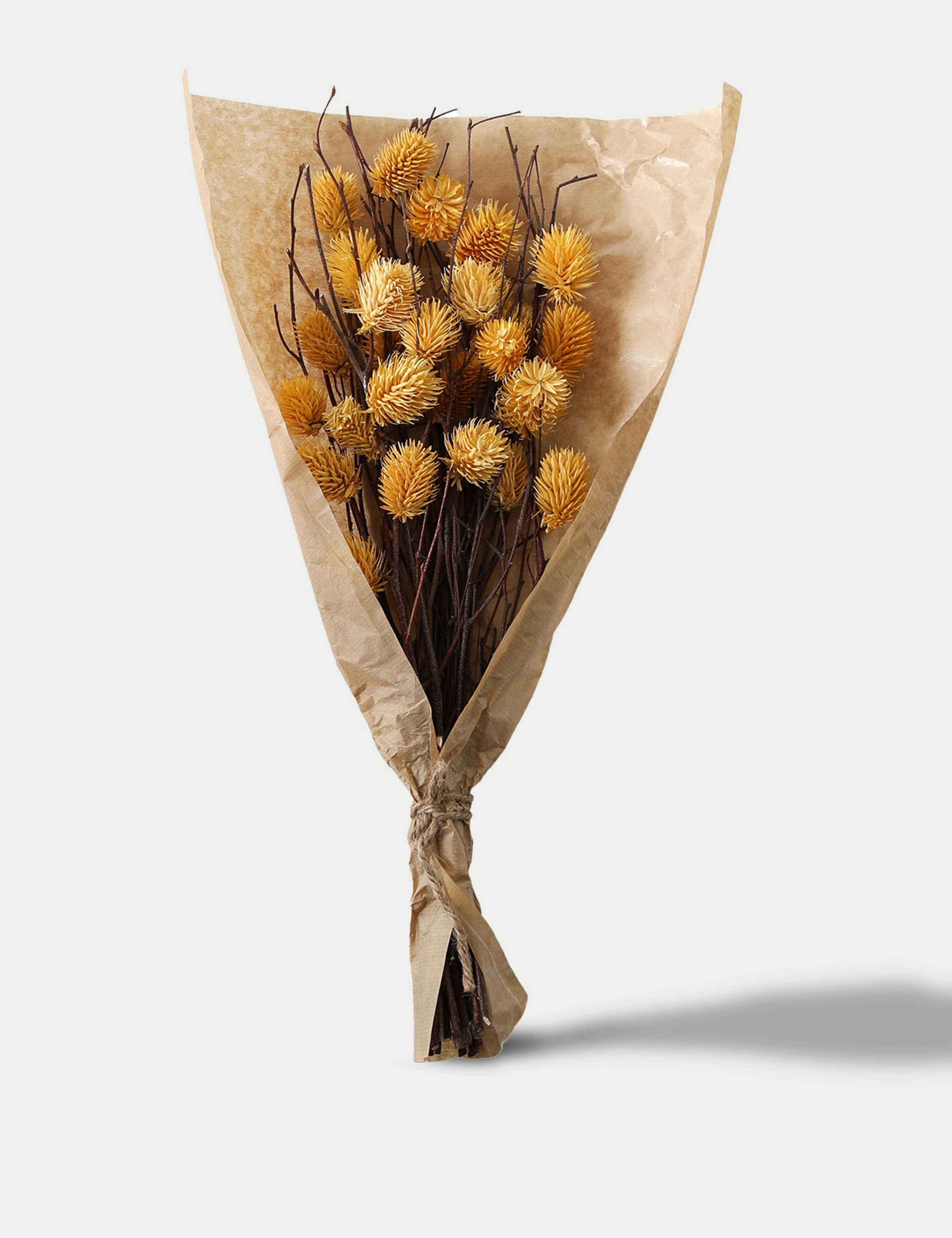 Dried Thistle Bouquet 1 of 3