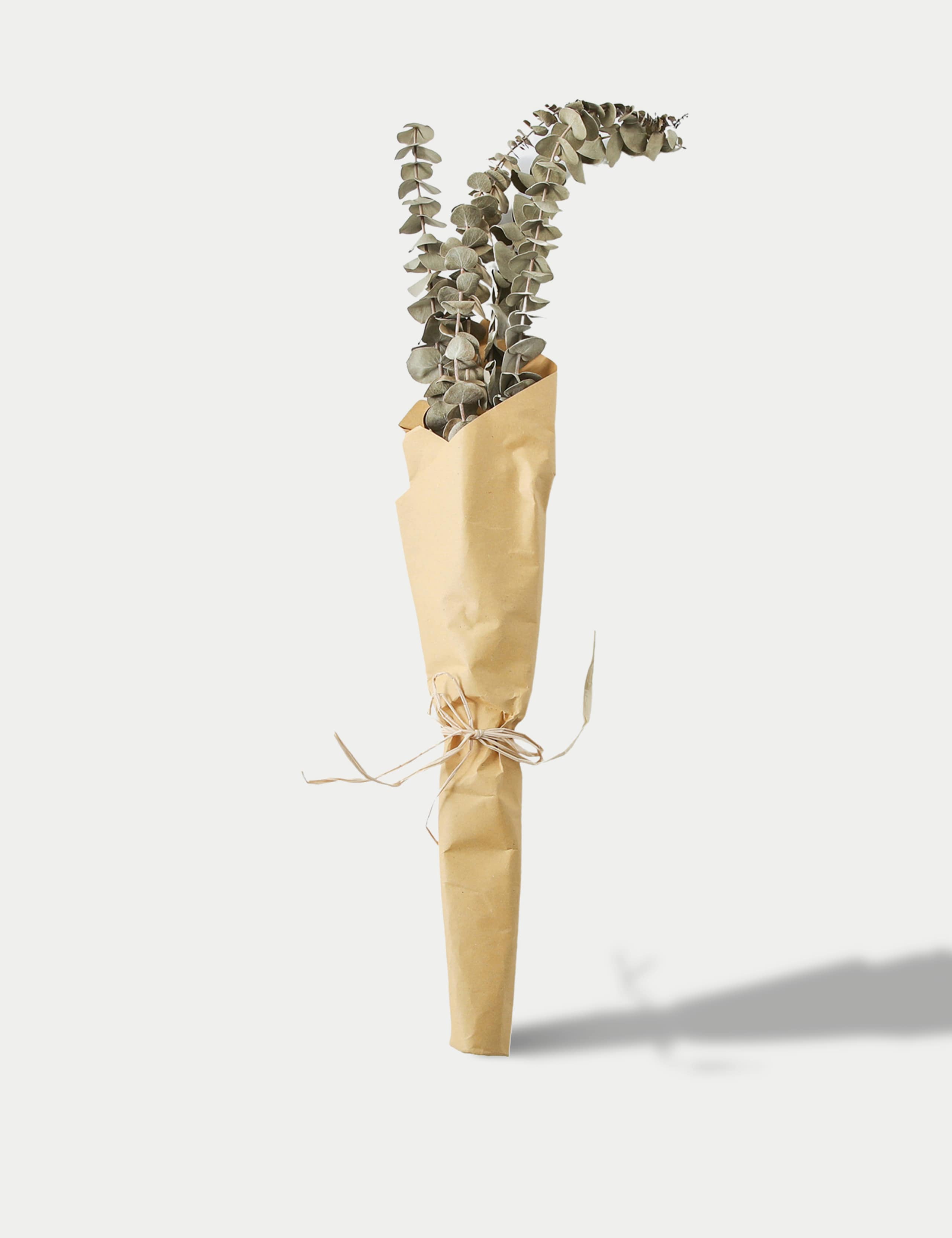 Dried Eucalyptus Bouquet 1 of 3