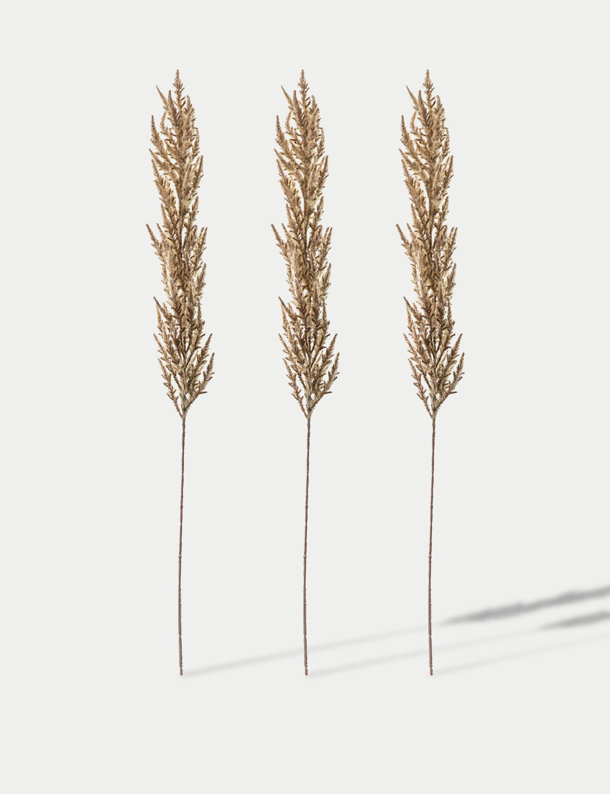 Set of 3 Artificial Pampas Grass Single Stems 1 of 3